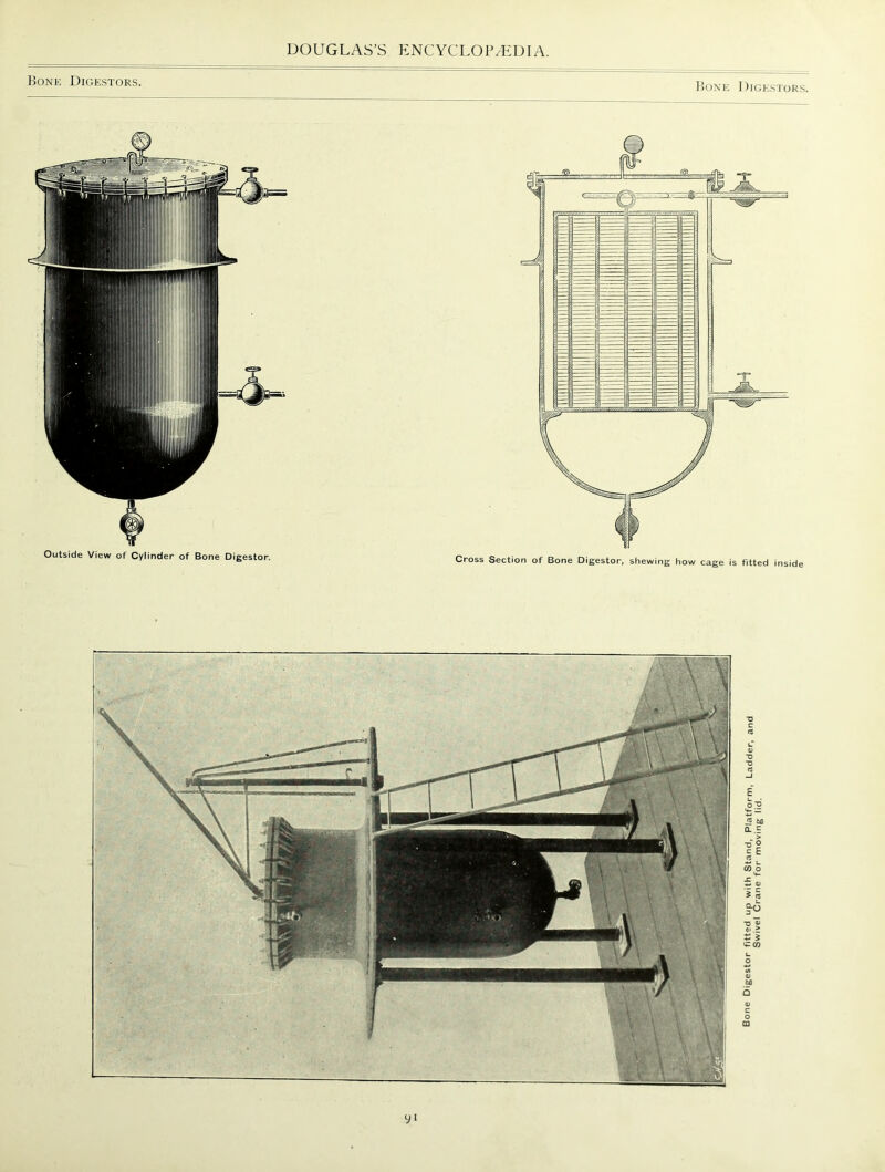 Bone Digestors, Bone Digestors. yi