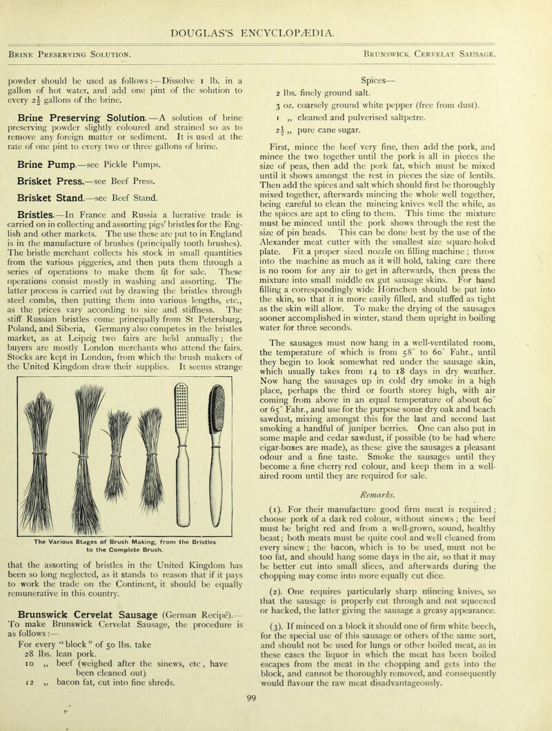 Brine Preserving Solution. Brunswick Cervelat Sausage. powder should be used as follows :—Dissolve i lb. in a gallon of hot water, and add one pint of the solution to every 2\ gallons of the brine. Brine Preserving Solution.—A solution of brine preserving powder slightly coloured and strained so as to remove any foreign matter or sediment. It is used at the rate of one pint to every two or three gallons of brine. Brine Pump.—see Pickle Pumps. Brisket Press.—see Beef Press. Brisket Stand.—see Beef Stand. Bristles.—In France and Russia a lucrative trade is carried on in collecting and assorting pigs’ bristles for the Eng- lish and other markets. The use these are put to in England is in the manufacture of brushes (principally tooth brushes). The bristle merchant collects his stock in small quantities from the various piggeries, and then puts them through a series of operations to make them fit for sale. These operations consist mostly in washing and assorting. The latter process is carried out by drawing the bristles through steel combs, then putting them into various lengths, etc., as the prices vary according to size and stiffness. The stiff Russian bristles come principally from St Petersburg, Poland, and Siberia, Germany also competes in the bristles market, as at Leipzig two fairs are held annually; the buyers are mostly London merchants who attend the fairs. Stocks are kept in London, from which the brush makers of the United Kingdom draw their supplies. It seems strange The Various Stages of Brush Making, from the Bristles to the Complete Brush. that the assorting of bristles in the United Kingdom has been so long neglected, as it stands to reason that if it pays to work the trade on the Continent, it should be equally remunerative in this country. Brunswick Cervelat Sausage (German Recipe).— To make Brunswick Cervelat Sausage, the procedure is as follows:— For every “block” of 50 lbs. take 28 lbs. lean pork. 10 ,, beef (weighed after the sinews, etc, have been cleaned out) j 2 ,, bacon fat, cut into fine shreds. Spices— 2 lbs. finely ground salt. 3 oz. coarsely ground white pepper (free from dust). 1 ,, cleaned and pulverised saltpetre. 2 i „ pure cane sugar. First, mince the beef very fine, then add the pork, and mince the two together until the pork is all in pieces the size of peas, then add the pork fat, which must be mixed until it shows amongst the rest in pieces the size of lentils. Then add the spices and salt which should first be thoroughly mixed together, afterwards mincing the whole well together, being careful to clean the mincing knives well the while, as the spices are apt to cling to them. This time the mixture must be minced until the pork shows through the rest the size of pin heads. This can be done best by the use of the Alexander meat cutter with the smallest size square-holed plate. Fit a proper sized nozzle on filling machine ; throw into the machine as much as it will hold, taking care there is no room for any air to get in afterwards, then press the mixture into small middle ox gut sausage skins. For hand filling a correspondingly wide Hiirnchen should be put into the skin, so that it is more easily filled, and stuffed as tight as the skin will allow. To make the drying of the sausages sooner accomplished in winter, stand them upright in boiling water for three seconds. The sausages must now hang in a well-ventilated room, the temperature of which is from 58° to 60 Fahr., until they begin to look somewhat red under the sausage skin, which usually takes from 14 to 18 days in dry weather. Now hang the sausages up in cold dry smoke in a high place, perhaps the third or fourth storey high, with air coming from above in an equal temperature of about 6o° or 65° Fahr., and use for the purpose some dry oak and beach sawdust, mixing amongst this for the last and second last smoking a handful of juniper berries. One can also put in some maple and cedar sawdust, if possible (to be had where cigar-boxes are made), as these give the sausages a pleasant odour and a fine taste. Smoke the sausages until they become a fine cherry red colour, and keep them in a well- aired room until they are required for sale. Remarks. (1) . For their manufacture good firm meat is required; choose pork of a dark red colour, without sinews; the beef must be bright red and from a well-grown, sound, healthy beast; both meats must be quite cool and well cleaned from every sinew; the bacon, which is to be used, must not be too fat, and should hang some days in the air, so that it may be better cut into small slices, and afterwards during the chopping may come into more equally cut dice. (2) . One requires particularly sharp mincing knives, so that the sausage is properly cut through and not squeezed or hacked, the latter giving the sausage a greasy appearance. (3) . If minced on a block it should one of firm white beech, for the special use of this sausage or others of the same sort, and should not be used for lungs or other boiled meat, as in these cases the liquor in which the meat has been boiled escapes from the meat in the chopping and gets into the block, and cannot be thoroughly removed, and consequently would flavour the raw meat disadvantageous!)'.