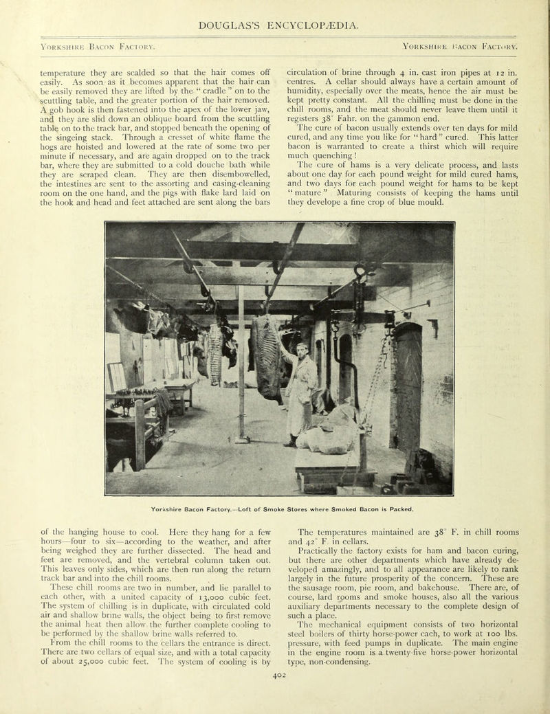 Yorkshire Bacon Factory. Yorkshire I'.acon Factory. temperature they are scalded so that the hair comes off easily. As soon as it becomes apparent that the hair can be easily removed they are lifted by the “ cradle ” on to the scuttling table, and the greater portion of the hair removed. A gob hook is then fastened into the apex of the lower jaw, and they are slid down an oblique board from the scuttling table on to the track bar, and stopped beneath the opening of the singeing stack. Through a cresset of white flame the hogs are hoisted and lowered at the rate of some two per minute if necessary, and are again dropped on to the track bar, where they are submitted to a cold douche bath while they are scraped clean. They are then disembowelled, the intestines are sent to the assorting and casing-cleaning room on the one hand, and the pigs with flake lard laid on the hook and head and feet attached are sent along the bars circulation of brine through 4 in. cast iron pipes at 12 in. centres. A cellar should always have a certain amount of humidity, especially over the meats, hence the air must be kept pretty constant. All the chilling must be done in the chill rooms, and the meat should never leave them until it registers 38° Fahr. on the gammon end. The cure of bacon usually extends over ten days for mild cured, and any time you like for “ hard ” cured. This latter bacon is warranted to create a thirst which will require much quenching ! The cure of hams is a very delicate process, and lasts about one day for each pound weight for mild cured hams, and two days for each pound weight for hams to be kept “ mature ” Maturing consists of keeping the hams until they develope a fine crop of blue mould. Yorkshire Bacon Factory.—Loft of Smoke Stores where Smoked Bacon is Packed. of the hanging house to cool. Here they hang for a few hours—four to six—according to the weather, and after being weighed they are further dissected. The head and feet are removed, and the vertebral column taken out. This leaves only sides, which are then run along the return track bar and into the chill rooms. These chill rooms are two in number, and lie parallel to each other, with a united capacity of 13,000 cubic feet. The system of chilling is in duplicate, with circulated cold air and shallow brine walls, the object being to first remove the animal heat then allow the further complete cooling to be performed by the shallow brine walls referred to. From the chill rooms to the cellars the entrance is direct. There are two cellars of equal size, and with a total capacity of about 25,000 cubic feet. The system of cooling is by The temperatures maintained are 38 F. in chill rooms and 42° F. in cellars. Practically the factory exists for ham and bacon curing, but there are other departments which have already de- veloped amazingly, and to all appearance are likely to rank largely in the future prosperity of the concern. These are the sausage room, pie room, and bakehouse. There are, of course, lard rooms and smoke houses, also all the various auxiliary departments necessary to the complete design of such a place. The mechanical equipment consists of two horizontal steel boilers of thirty horse-power each, to work at 100 lbs. pressure, with feed pumps in duplicate. The main engine in the engine room is a twenty-five horse-power horizontal type, non-condensing.