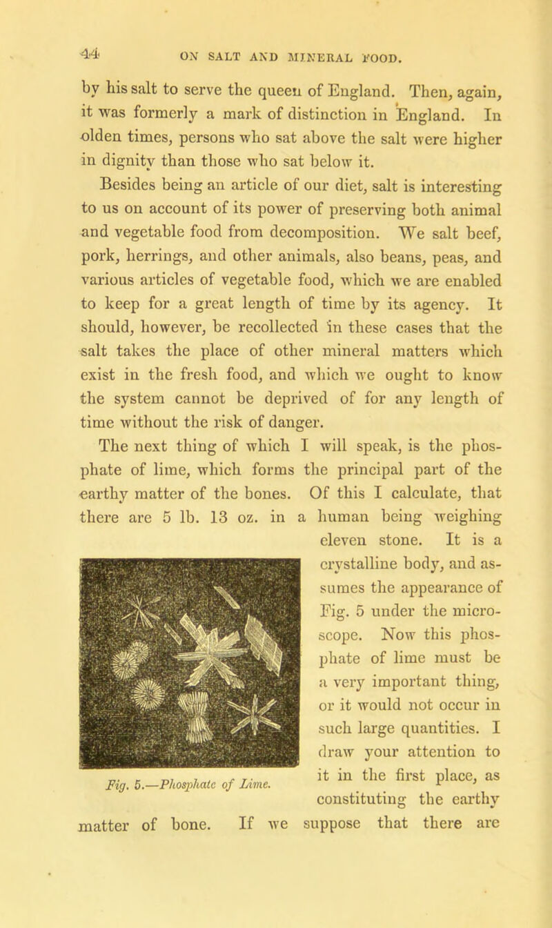 by his salt to serve the queen of England. Then, again, it was formerly a mark of distinction in England. In olden times, persons who sat above the salt were higher in dignity than those who sat below it. Besides being an article of our diet, salt is interesting to us on account of its power of preserving both animal and vegetable food from decomposition. We salt beef, pork, herrings, and other animals, also beans, peas, and various articles of vegetable food, which we are enabled to keep for a great length of time by its agency. It should, however, be recollected in these cases that the salt takes the place of other mineral matters which exist in the fresh food, and which we ought to know the system cannot be deprived of for any length of time without the risk of danger. The next thing of which I will speak, is the phos- phate of lime, which forms the principal part of the earthy matter of the bones. Of this I calculate, that there are 5 lb. 13 oz. in a human being weighing eleven stone. It is a crystalline body, and as- sumes the appearance of Fig. 5 under the micro- scope. Now this phos- phate of lime must be a very important thing, or it would not occur in such large quantities. I draw your attention to it in the first place, as constituting the earthy matter of bone. If we suppose that there are Fig. 5.—Phosphaic of Lime.