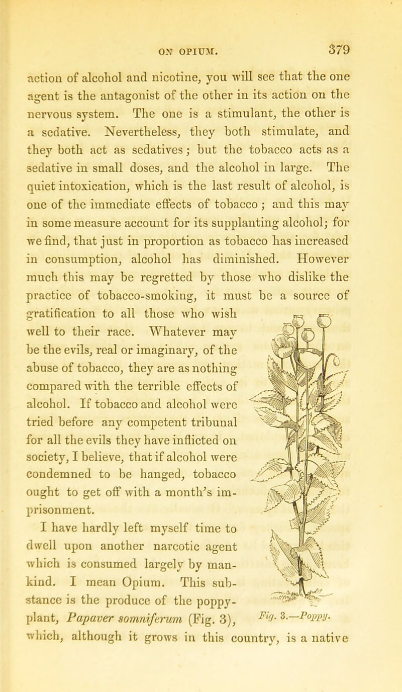 action of alcohol and nicotine, you will see that the one agent is the antagonist of the other in its action on the nervous system. The one is a stimulant, the other is a sedative. Nevertheless, they both stimulate, and they both act as sedatives; but the tobacco acts as a sedative in small doses, and the alcohol in large. The quiet intoxication, which is the last result of alcohol, is one of the immediate effects of tobacco ; and this may in some measure aceount for its supplanting alcohol; for we find, that just in proportion as tobacco has increased in consumption, alcohol has diminished. However much this may be regretted by those who dislike the practiee of tobacco-smoking, it must be a source of gratifieation to all those who wish well to their race. Whatever may be the evils, real or imaginary, of the abuse of tobacco, they are as nothing compared with the terrible effects of alcohol. If tobacco and alcohol were tried before any competent tribunal for all the evils they have inflieted on society, I believe, that if alcohol were condemned to be hanged, tobacco ought to get off with a months im- prisonment. I have hardly left myself time to dwell upon another narcotic agent which is consumed largely by man- kind. I mean Opium. This sub- stance is the produce of the poppy- plant, Papaver somniferum (Fig. 3), Firj. 3.—Poppy. which, although it grows in this country, is a native