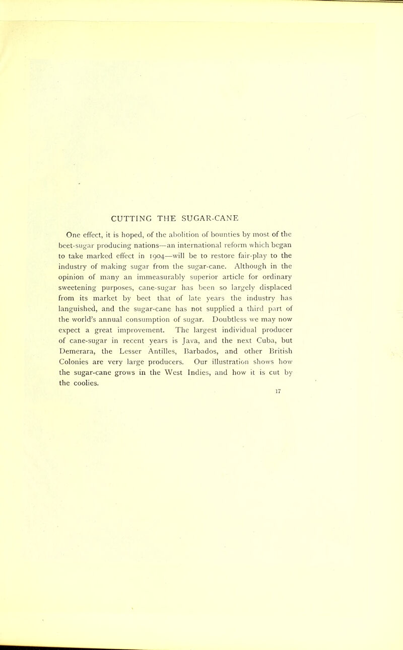 CUTTING THE SUGAR-CANE One effect, it is hoped, of the aliolition of bounties by most of the beet-sugar producing nations—an international reform which began to take marked effect in 1904—will be to restore fair-play to the industry of making sugar from the sugar-cane. Although in the opinion of many an immeasurably superior article for ordinary sweetening purposes, cane-sugar has been so largely displaced from its market by beet that of late years the industry has languished, and the sugar-cane has not supplied a third part of the world’s annual consumption of sugar. Doubtless we may now expect a great improvement. The largest individual producer of cane-sugar in recent years is Java, and the next Cuba, but Demerara, the Lesser Antilles, Rarbados, and other British Colonies are very large producers. Our illustration shows how the sugar-cane grows in the West Indies, and how it is cut by the coolies. ir