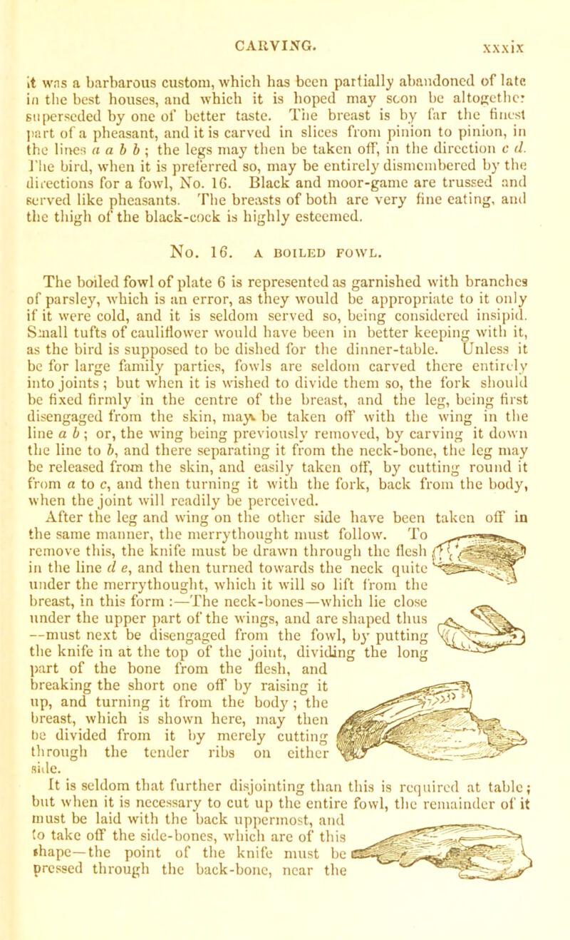 it was a barbarous custom, which has been partially abandoned of late in the best houses, and which it is hoped may scon be altogether superseded by one of better taste. The breast is by far the finest part of a pheasant, and it is carved in slices from pinion to pinion, in the lines a a b b ; the legs may then be taken off, in the direction c 11. 1'he bird, when it is preferred so, may be entirely' dismembered by the directions for a fowl, No. 16. Black and moor-game are trussed and served like pheasants. The breasts of both are very fine eating, and the thigh of the black-cock is highly esteemed. No. 16. A BOILED FOWL. The boiled fowl of plate 6 is represented as garnished with branches of parsley, which is an error, as they would be appropriate to it only if it were cold, and it is seldom served so, being considered insipid. Small tufts of cauliflower would have been in better keeping with it, as the bird is supposed to be dished for the dinner-table. Unless it be for large family parties, fowls are seldom carved there entirely into joints; but when it is wished to divide them so, the fork should be fixed firmly in the centre of the breast, and the leg, being first disengaged from the skin, mayv be taken off with the wing in the line a b ; or, the wing being previously removed, by carving it down the line to b, and there separating it from the neck-bone, the leg may be released from the skin, and easily taken off, by cutting round it from a to c, and then turning it with the fork, back from the body, when the joint will readily be perceived. After the leg and wing on the other side have been taken off in the same manner, the merrythought must follow. To remove this, the knife must be drawn through the flesh in the line cl e, and then turned towards the neck quite under the merrythought, which it will so lift from the breast, in this form :—The neck-bones—which lie close under the upper part of the wings, and are shaped thus —must next be disengaged from the fowl, byr putting the knife in at the top of the joint, dividing the long part of the hone from the flesh, and breaking the short one off by raising it up, and turning it from the body; the breast, which is shown here, may then be divided from it by merely cutting through the tender ribs on either side. It is seldom that further disjointing than this is required at table; but when it is necessary to cut up the entire fowl, the remainder of it must be laid with the back uppermost, and to take off the side-bones, which are of this shape—the point of the knife must be pressed through the back-bone, near the