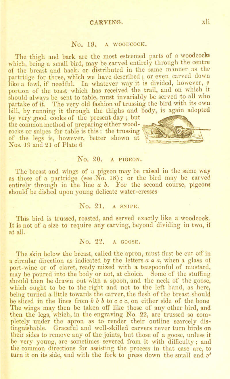 No. 19. A WOODCOCK. The thigh and back are the most esteemed parts of a woodcocki which, being a small bird, may be carved entirely through the centre of the breast and back, or distributed in the same manner as the partridge for three, which we have described; or even carved down like a fowl, if needful. In whatever way it is divided, however, a portion of the toast which has received the trail, aud on which it should always be sent to table, must invariably be served to all who partake of it. The very old fashion of trussing the bird with its own bill, by running it through the thighs and body, is again adopted by very good cooks of the present day ; but the common method of preparing either wood- cocks or snipes for table is this : the trussing T“~ of the legs is, however, better shown at Nos. 19 and 21 of Plate C No. 20. A PIGEON. The breast and wings of a pigeon may be raised in the same way as those of a partridge (see No. 18) ; or the bird may be carved entirely through in the line a b. For the second course, pigeons should be dished upon young delicate water-cresses No. 21. A SNIPE. This bird is trussed, roasted, and served exactly like a woodcock. It is not of a size to require any carving, beyond dividing in two, il at all. No. 22. A GOOSE. The skin below the breast, called the apron, must first be cut off in a circular direction as indicated by the letters a a a, when a glass of port-wine or of claret, ready mixed with a teaspoonful of mustard, may be poured into the body or not, at choice. Some of the stuffing should then be drawn out with a spoon, and the neck of the goose, which ought to be to the right and not to the left hand, as here, being turned a little towards the carver, the flesh of the breast should be sliced in the lines from b b b to c c c, on either side of the bone The wings may then be taken off like those of any other bird, and then the legs, which, in the engraving No. 22, are trussed so com- pletely under the apron as to render their outline scarcely dis- tinguishable. Graceful and well-skilled carvers never turn birds on their sides to remove any of the joints, but those of a goose, unless it be very young, are sometimes severed from it with difficulty; and the common directions for assisting the process in that case are, to turn it on its side, and with the fork to press down the small end o'