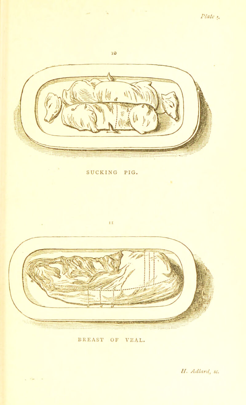 10 SUCKING PIG. BREAST OF VEAL.