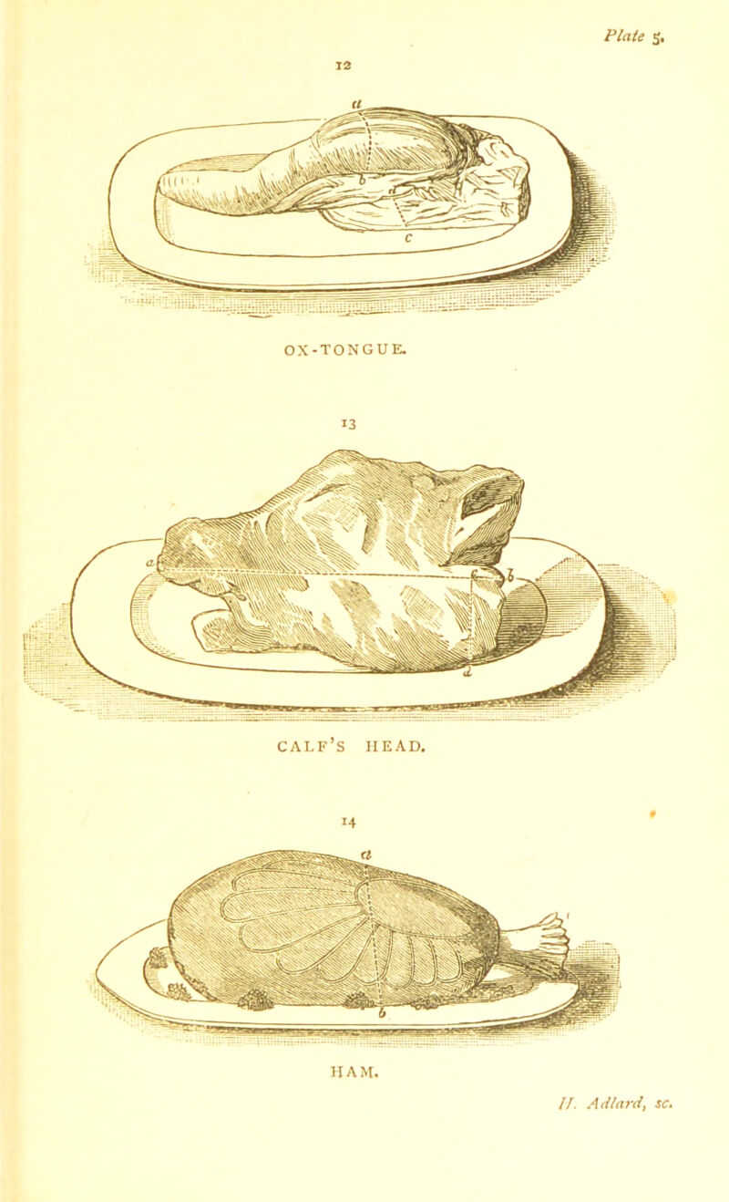 12 OX-TONGUE. 13 calf’s HEAD. 14 * HAM.