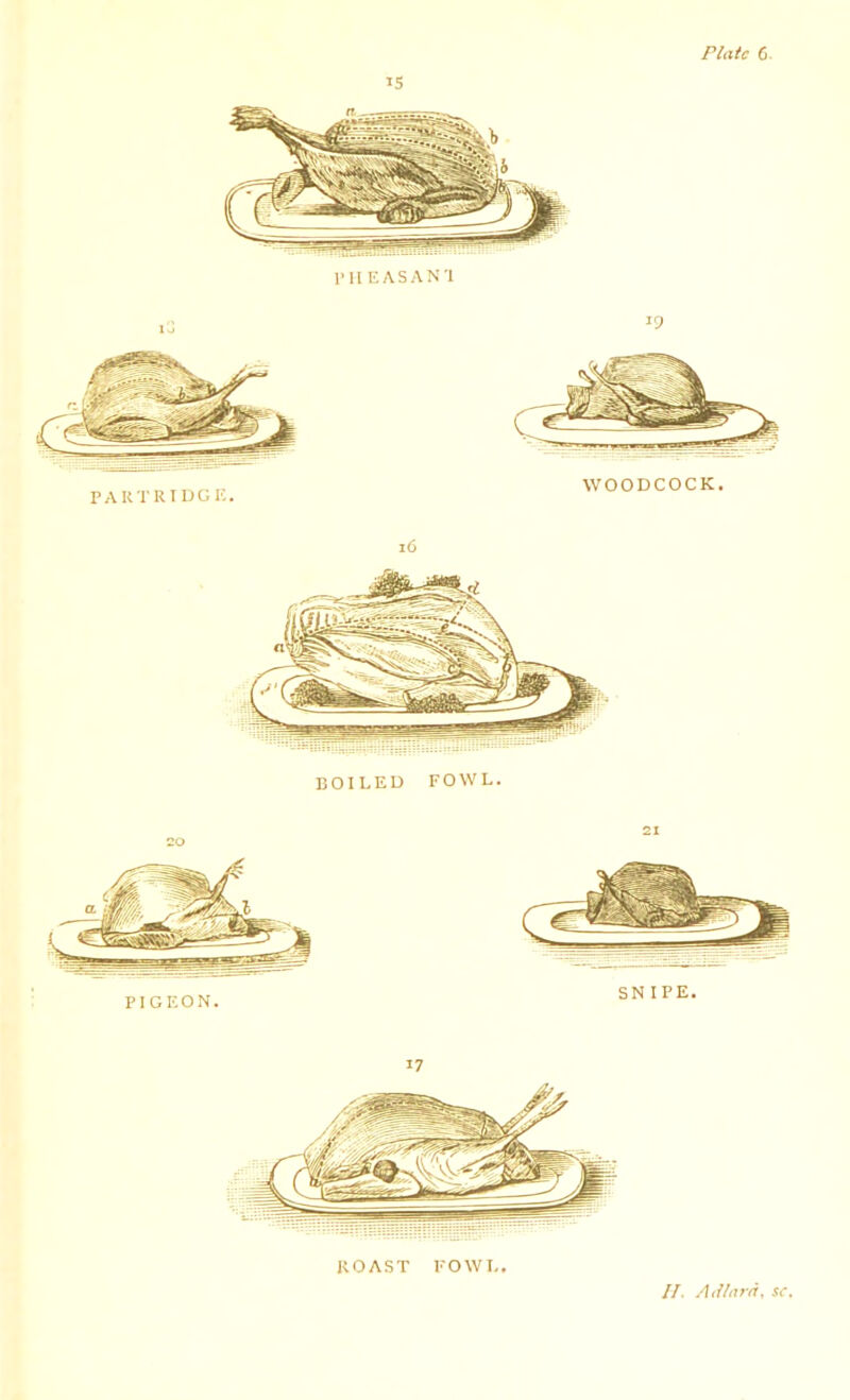 i5 1* II EASAN'l BOILED FOWL. PIGEON. 21 SNIPE. ROAST FOWL.