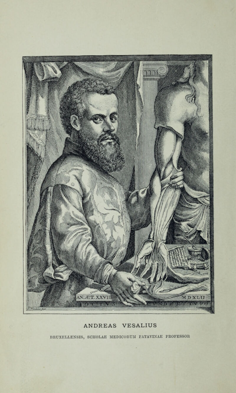 ANDREAS VESALIUS BRUXELLENSIS, SCIIOLAE MEDICOEUM PATAVINAE PROFESSOR