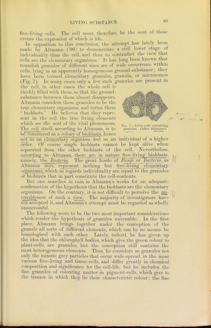 tVec-living cells. The cell must, therefore, be the seat of those events the expression of which is life. In opposition to this conclusion, the attempt has lately been made by Altmann ('90) to demonstrate a still lower stage of individuality than the cell, and thus to contradict the view that cells are the elementary organisms. It has long been known that roundish granules of different sizes are of wide occurrence withm cells, lying in an apparently homogeneous ground-substance; they have been termed elementar}'- granules, granula, or microsomes (Fig. 7). In many cases only a few such granules are present in the cell, in other cases the whole cell is thickly filled with them, so that the ground- substance between them almost disappears. Altmann considers these granules to be the true elementary organisms, and terms them  bioblasts. He believes that they repre- .sent in the cell the true living elements which are the seat of the vital phenomena. The cell itself, according to Altmann, is to beTonsidered as a colony of bioblaste, hence not as an elementary organisni but as an individual of a higher order. Of course single bioblasts cannot be kept alive when separated from the other bioblasts of the cell. Nevertheless, according to Altmann, there ^are in nature free-living bioblasts, namely, the Bacteria. The great horde of Fungi or Saderia, as Altmann says, represent nothing but free^Tiving elementary- organisms, which as regards individuality are equal to the granules or bioblasts that in part constitute the cell-contents. But one searches in vain in Altmann's works for an adequate confirmation of the hypothesis that the bioblasts are the elementar} organisms. On the contrary, it is not difficult to perceive the mi- tenableness of such a view. The majority of investigators have liot accepted it, and Altmann's attempt must be regarded as wholl\- unsuccessful. The following seem to be the two most important considerations which render the hypothesis of granules untenable. In the first place, Altmann brings together under the conception of the granule all sorts of different elements, which can by no means be homologised with each other. Lately, indeed, he has given up the idea that the chlorophyll bodies, which give the green colour to plant-cells, are granules, but the conception still contains the most heterogeneous elements. Thus, he considers as granules not only the minute grey particles that occur wide-spread in the most various free-living and tissue-cells, and differ greatly in chemical composition and significance for the cell-life, but he includes the fine granules of colouring matter in pigment-cells, which give to the tissues in which they lie their characteristic colour; the fine Fio. 7.^Liver-cells coutuining granules. (After Altmann.)