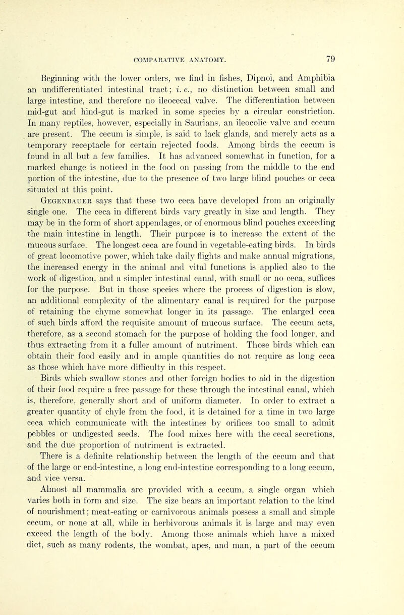Beginning with the lower orders, we find in fishes, Dipnoi, and Amphibia an imdifi'erentiated intestinal tract; i.e., no distinction between small and large intestine, and therefore no ileocecal valve. The differentiation between mid-gut and hind-gut is marked in some species by a circular constriction. In many reptiles, however, especialh^ in Saurians, an ileocolic valve and cecum are present. The cecum is simple, is saitl to lack glands, and merely acts as a temporary receptacle for certain rejected foods. Among birds the cecum is found in all but a few families. It has advanced somewhat in function, for a marked change is noticed in the food on passing from the middle to the end portion of the intestine, due to the presence of two large l)lind pouches or ceca situated at this point. Gegenbauer says that these two ceca have developed from an originally single one. The ceca in different birds vary greatly in size and length. They may be in the form of short appendages, or of enormous blind pouches exceeding the main intestine in length. Their purpose is to increase the extent of the mucous surface. The longest ceca are found in vegetable-eating birds. In birds of great locomotive power, which take daily fiights and make annual migrations, the increased energy in the animal and vital functions is applied also to the work of digestion, and a simpler intestinal canal, with small or no ceca, suffices for the purpose. But in those species where the process of digestion is slow, an additional complexity of the alimentary canal is required for the purpose of retaining the chyme somewhat longer in its passage. The enlarged ceca of such birds afford the requisite amount of mucous surface. The cecum acts, therefore, as a second stomach for the purpose of holding the food longer, and thus extracting from it a fuller amount of nutriment. Those birds which can obtain their food easily and in ample quantities do not require as long ceca as those which have more difficulty in this respect. Birds which swallow stones and other foreign bodies to aid in the digestion of their food require a free passage for these through the intestinal canal, which is, therefore, generally short and of uniform diameter. In order to extract a greater quantity of chyle from the food, it is detained for a time in two large ceca which communicate with the intestines hy orifices too small to admit pebbles or undigested seeds. The food mixes here with the cecal secretions, and the due proportion of nutriment is extracted. There is a definite relationship between the length of the cecum and that of the large or end-intestine, a long end-intestine corresponding to a long cecum, and vice versa. Almost all mammalia are provided with a cecum, a single organ which varies both in form and size. The size bears an important relation to the kind of nourishment; meat-eating or carnivorous animals possess a small and simple cecum, or none at all, while in herbivorous animals it is large and may even exceed the length of the body. Among those animals which have a mixed diet, such as many rodents, the wombat, apes, and man, a part of the cecum