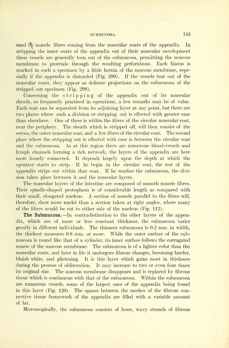 ened by muscle fibres coming from the muscular coats of the appendix. In stripping the inner coats of the appendix out of their muscular envelopment these vessels are generally torn out of the subraucosa, permitting the mucous membrane to protrude through the resulting perforations. Each hiatus is marked in such a specimen by a little hernia of the mucous membrane, espe- cially if the appendix is distended (Fig. 299). If the vessels tear out of the muscular coats, they appear as delicate projections on the submucosa of the stripped out specimen (Fig. 298). Concerning the stripping of the appendix out of its muscular sheath, so frequently practised in operations, a few remarks may be of value. Each coat can be separated from its adjoining layer at any point, but there are two places where such a division or stripping out is effected with greater ease than elsewhere. One of these is within the fibres of the circular muscular coat, near the periphery. The sheath which is stripped off, will then consist of the serosa, the outer muscular coat, and a few fibres of the circular coat. The second place where the stripping out is effected with ease is between the circular coat and the submucosa. As at this region there are numerous blood-vessels and lymph channels forming a rich network, the layers of the appendix are here more loosely connected. It depends largely upon the depth at which the operator starts to strip. If he begin in the circular coat, the rest of the appendix strips out within that coat. If he reaches the submucosa, the divi- sion takes place between it and the muscular layers. The muscular layers of the intestine are composed of smooth muscle fibres. Their spindle-shaped protoplasm is of considerable length as compared with their small, elongated nucleus. A section of muscle parallel to the fibres will, therefore, show more nuclei than a section taken at right angles, where many of the fibres would be cut to either side of the nucleus (Fig. 112). The Submucosa.—In contradistinction to the other layers of the appen- dix, which are of more or less constant thickness, the submucosa varies greatly in different individuals. The thinnest submucosa is 0.2 mm. in width, the thickest measures 0.8 mm. or more. While the outer surface of the sub- mucosa is round like that of a cjdinder, its inner surface follows the corrugated course of the mucous membrane. The submucosa is of a lighter color than the muscular coats, and later in life it undergoes fibrous changes, becoming harder, bluish white, and glistening. It is this layer which gains most in thickness during the process of obliteration. It may increase to two or even four times its original size. The mucous membrane disappears and is replaced by fibrous tissue which is continuous with that of the submucosa. Within the submucosa are numerous vessels, some of the largest ones of the appendix being found in this layer (Fig. 120). The spaces between the meshes of the fibrous con- nective tissue framework of the appendix are filled with a variable amount of fat. Microscopically, the submucosa consists of loose, wavy strands of fibrous