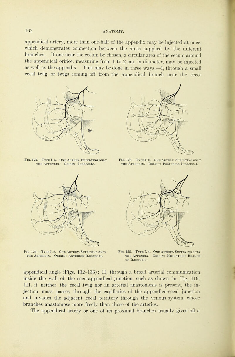 appendical artery, more than one-half of the appendix may be injected at once, which demonstrates connection between the areas suppUed by the different branches. If one near the cecum be chosen, a circular area of the cecum around the appendical orifice, measuring from 1 to 2 cm. in diameter, may be injected as well as the appendix. This may be done in three ways,—I, through a small cecal twig or twigs coming off from the appendical branch near the ceco- Fig. 122.—Type I, a. One Artery, Supplying only Fig. 123.t—Type I, b. One Artery, Supplying only THE Appendix. Origin: Ileocolic. the Appendix. Origin: Posterior Ileocecal. Fig. 124.—Type I, c. One .\rtery. Supplying only Fig. 125.—Type I, d. One Artery, Supplying only THE Appendix. Origin: Anterior Ileocecal. the Appendix, Origin: Mesenteric Branch OF Ileocolic. appendical angle (Figs. 132-136); II, through a broad arterial communication inside the wall of the ceco-appendical junction such as shown in Fig. 119; III, if neither the cecal twig nor an arterial anastomosis is present, the in- jection mass passes through the capillaries of the appendico-cecal junction and invades the adjacent cecal territory through the venous system, whose branches anastomose more freely than those of the arteries. The appendical artery or one of its proximal branches usually gives off a