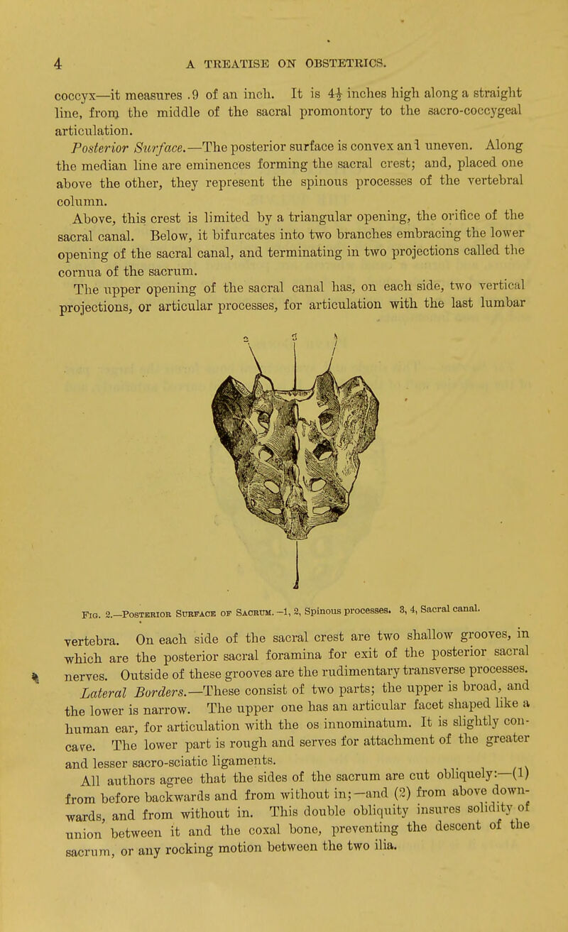 coccyx—it measures .9 of an inch. It is 41 inches high along a straight line, fronj the middle of the sacral promontory to the sacro-coccygeal articulation. Posterior Surface.—The posterior surface is convex ani uneven. Along the median line are eminences forming the sacral crest; and, placed one above the other, they represent the spinous processes of the vertebral column. Above, this crest is limited by a triangular opening, the orifice of the sacral canal. Below, it bifurcates into two branches embracing the lower opening of the sacral canal, and terminating in two projections called the cornua of the sacrum. The iipper opening of the sacral canal has, on each side, two vertical projections, or articular processes, for articulation with the last lumbar FiQ. 2.-POSTEBIOR Surface op Sacrum. -1, 2, Spinous processes. 3, 4, Sacral canal. vertebra. On each side of the sacral crest are two shallow grooves, in which are the posterior sacral foramina for exit of the posterior sacral nerves. Outside of these grooves are the rudimentary transverse processes. Lateral Borders.—These consist of two parts; the upper is broad, and the lower is narrow. The upper one has an articular facet shaped like a human ear, for articulation with the os innominatum. It is slightly con- cave. The lower part is rough and serves for attachment of the greater and lesser sacro-sciatic ligaments. _ All authors agree that the sides of the sacrum are cut obliquely:—(1) from before backwards and from without in;-and (2) from above down- wards, and from without in. This double obliquity insures solidity of union between it and the coxal bone, preventing the descent of the sacrum, or any rocking motion between the two ilia.