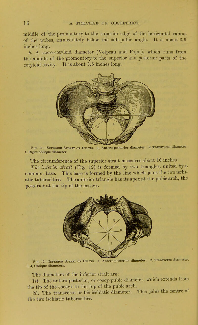 middle of the promontory to the superior edge of the horizontal ramus of the pubes, immediately below the sub-pubic angle. It is about 3.9 inches long. h. A sacro-cotyloid diameter (Velpeau and Pajot), which runs from tlie middle of the promontory to the superior and posterior parts of the cotyloid cavity. It is about 3.5 inches long. Fig. 11—Superior Strait op Pelvis—1, Antero-posterior diameter. 2, Transverse diameter 4, Right oblique diameter. The circumference of the superior strait measures about 16 inches. The inferior strait (Fig. 12) is formed by two triangles, united by a common base. This base is formed by the line which joins the two ischi- atic tuberosities. The anterior triangle has its apex at the pubic arch, the posterior at the tip of the coccyx. Fia. 12.—Inferior Strait op Pelvis.-1, Autoro posterior diameter. 2, Transverse diameter. 3, 4, Oblique diameters. The diameters of the inferior strait are: 1st. The antero-posterior, or coccy-pubic diameter, wliich extends from the tip of the coccyx to the top of the pubic arch. 2d. The transverse or bis-ischiatic diameter. Tliis joins the centre of the two ischiatic tuberosities.