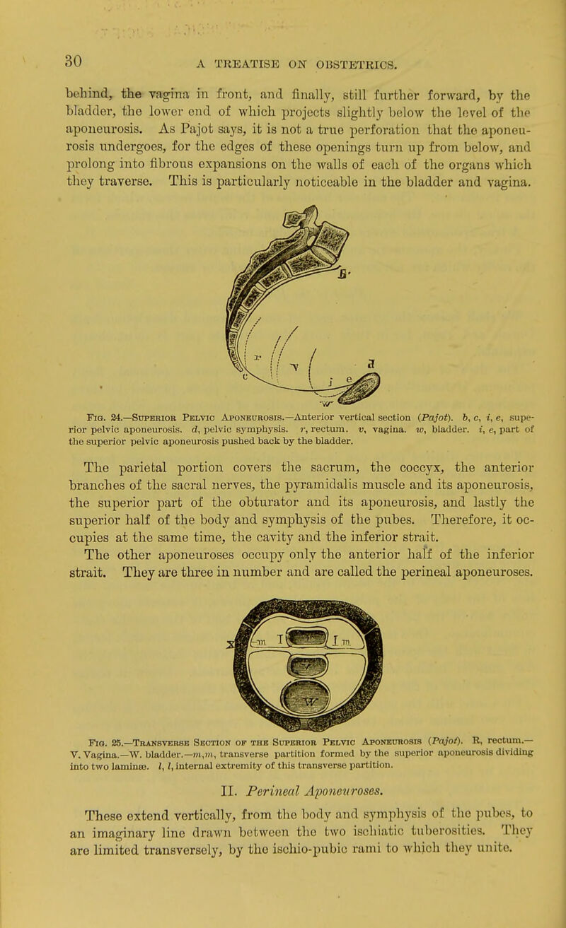 behind, the vagina in front, and finally, still further forward, by the bladder, the lower end of which projects slightly below the level of the aponeurosis. As Pajot says, it is not a true perforation that the aponeu- rosis undergoes, for the edges of these openings turn up from below, and prolong into fibrous expansions on the walls of each of the organs which tliey traverse. This is particularly noticeable in the bladder and vagina. a Fig. 24.—Superior Pelvic Aponeurosis.—Anterior vertical section {Pajot). b, c, i, e, supe- rior pelvic aponeurosis, d, pelvic symphysis, r, rectum, v, vagina, to, bladder, i, e, part of the superior pelvic aponeurosis pushed bacli by the bladder. The parietal portion covers the sacrum, the coccyx, the anterior branches of the sacral nerves, the pyramidalis muscle and its aponeurosis, the superior part of the obturator and its aponeurosis, and lastly the superior half of the body and symphysis of the pubes. Therefore, it oc- cupies at the same time, the cavity and the inferior strait. The other aponeuroses occupy only the anterior half of the inferior strait. They are three in number and are called the perineal aponeuroses. Fig. 25.—Transverse Section of the Superior Pelvic Aponeurosis (Pajof). R, rectum.— V. Vagina.—W. bladder.—m,?>i., transverse partition formed by the superior aponeurosis dividing into two laminBB. I, I, internal extremity of this transverse partition. II. Perineal Aponeuroses. These extend vertically, from the body and symphysis of the pubes, to an imaginary lino drawn between the two ischiatic tuberosities. They are limited transversely, by the iscliio-pubio rami to which they unite. I