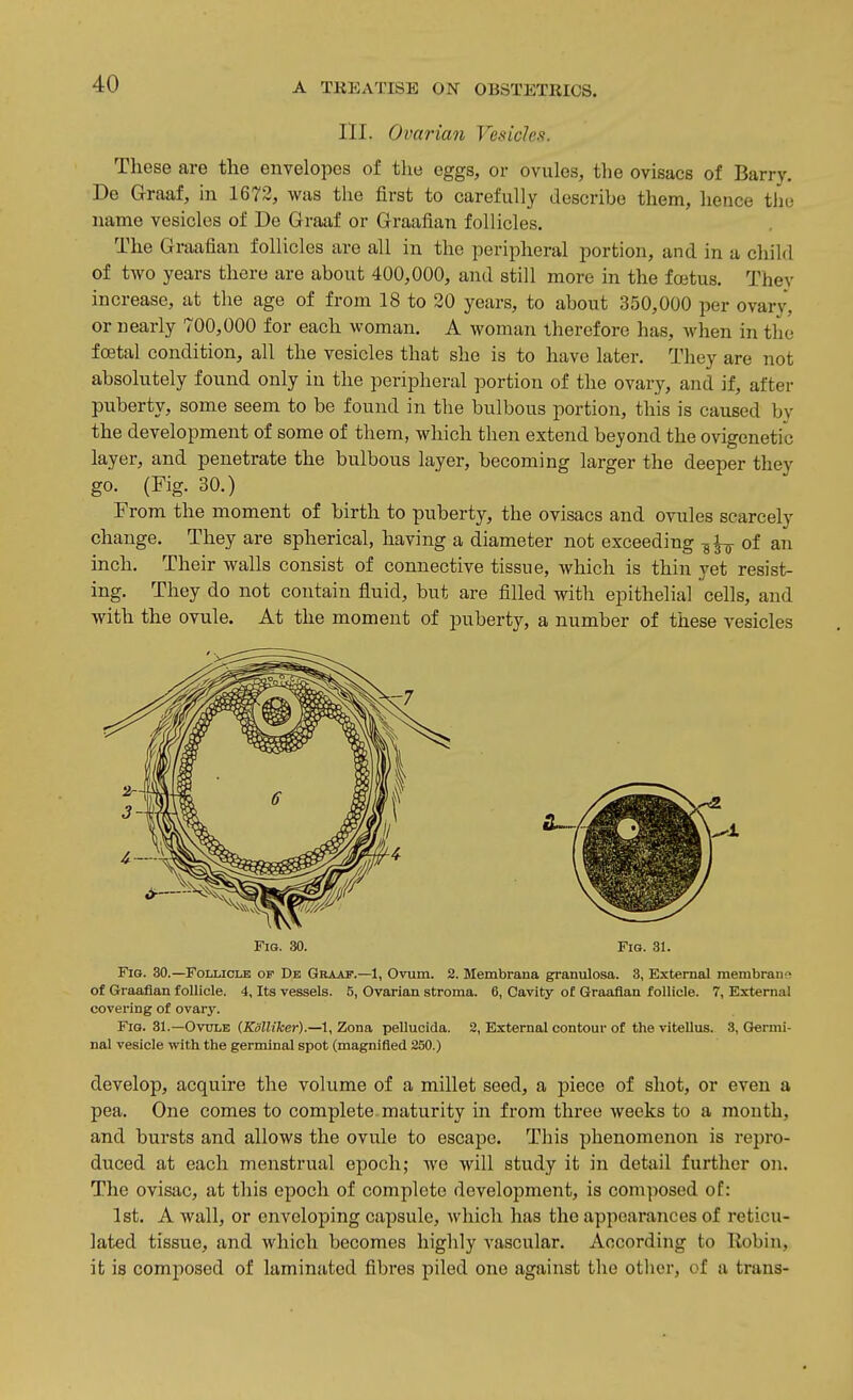 III. Ovarian Vesickft. These are the envelopes of tlie eggs, or ovules, the ovisacs of Barry. De Graaf, in 1673, was the first to carefully describe them, hence the name vesicles of De Graaf or Graafian follicles. The Graafian follicles are all in the peripheral portion, and in a child of two years there are about 400,000, and still more in the fajtus. They increase, at the age of from 18 to 20 years, to about 350,000 per ovary, or nearly 700,000 for each woman. A woman therefore has, when in the foetal condition, all the vesicles that she is to have later. They are not absolutely found only in the peripheral portion of the ovary, and if, after puberty, some seem to be found in the bulbous portion, this is caused by the development of some of them, which then extend beyond the ovigenetic layer, and penetrate the bulbous layer, becoming larger the deeper they go. (Fig. 30.) From the moment of birth to puberty, the ovisacs and ovules scarcely change. They are spherical, having a diameter not exceeding of an inch. Their walls consist of connective tissue, which is thin yet resist- ing. They do not contain fluid, but are filled with epithelial cells, and with the ovule. At the moment of puberty, a number of these vesicles Fig. 30. Fig. 31. Fig. 30.—Follicle of De Graaf.—1, Ovum. 2. Membrana granulosa. 3, External membranf> of Graafian foUicle. 4, Its vessels. 5, Ovarian stroma. 6, Cavity of Graafian follicle. 7, External covering of ovary. Fig. 31.—Ovule (Kalliker).—1, Zona pellucida. 8, External contour of the vitellus. 3, Germi- nal vesicle with the germinal spot (magnified 250.) develop, acquire the volume of a millet seed, a piece of shot, or even a pea. One comes to complete maturity in from three weeks to a month, and bursts and allows the ovule to escape. This phenomenon is repro- duced at each menstrual epoch; we will study it in detail further on. The ovisac, at this epoch of complete development, is composed of: 1st. A wall, or enveloping capsule, which has the appearances of reticu- lated tissue, and which becomes highly vascular. According to Kobin, it is composed of laminated fibres piled one against the other, of a trans-
