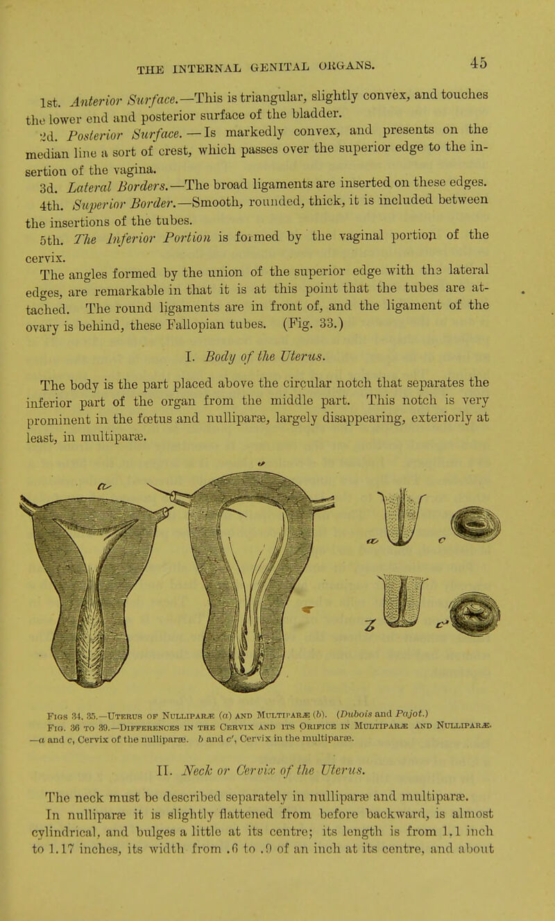 1st. Anterior Surface.—This is triangular, slightly convex, and touches the lower end and posterior surface of the bladder. 2d. Posterior Surface.—Is markedly convex, and presents on the me~dian line a sort of crest, wliich passes over the superior edge to the in- sertion of the vagina. 3d. Lateral Borders.—The broad ligaments are inserted on these edges. 4th. Superior Border.—Smooth, rounded, thick, it is included between the insertions of the tubes. 5th. The Inferior Portion is formed by the vaginal portion of the cervix. The angles formed by the union of the superior edge with ths lateral edges, are remarkable in that it is at this point that the tubes are at- tached. The round ligaments are in front of, and the ligament of the ovary is behind, these Fallopian tubes. (Fig. 33.) I. Body of the Uterus. The body is the part placed above the circular notch that separates the inferior part of the organ from the middle part. This notch is very prominent in the foetus and nulliparae, largely disappearing, exteriorly at least, in multiparas. Fios 34. 35.—Uterus op Nullipara (a) and Miti^tiparje (b). {Dubois and Pajot.) Fig. 36 to 39.—Differences in the Cervix and its Orifice in MuLTiPABiK and Nullipar.s:. —a and c, Cervix of the nuUiparse. b and c', Cervix in tlie multiparae. II. Nech or Cervix of the Uterus. The neck must be described separately in nulliparfc and multiparae. In nulliparae it is slightly flattened from before backward, is almost cylindrical, and bulges a little at its centre; its length is from 1.1 inch to 1.17 inches, its width from .fi to .0 of an inch at its centre, and about