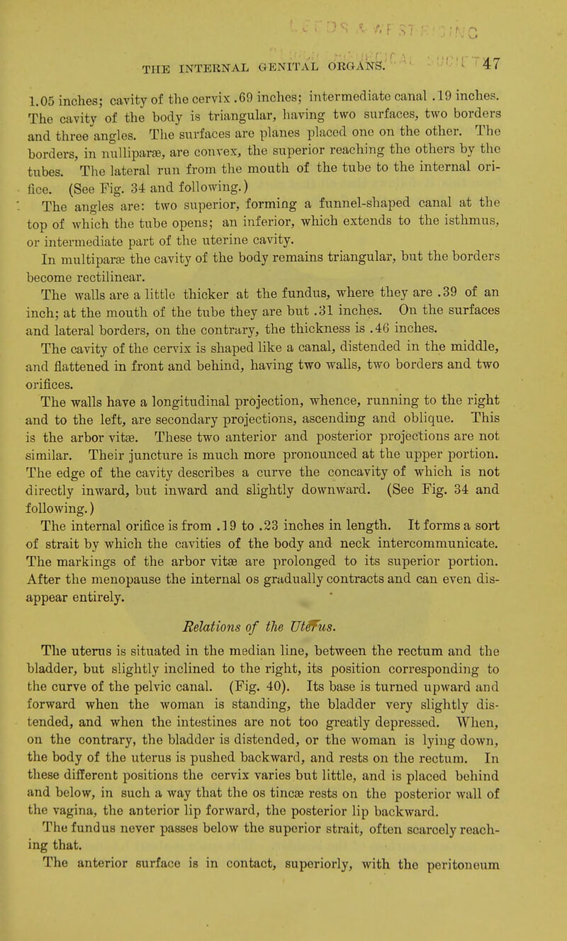 1.05 inches; cavity of the cervix .69 inches; intermediate canal .19 inches. The cavity of the body is triangular, having two surfaces, two borders and three angles. The surfaces are planes placed one on the other. The borders, in nulliparee, are convex, the superior reaching the others by the tubes. The lateral run from the mouth of the tube to the internal ori- fice. (See Fig. 34 and following.) The angles are: two superior, forming a funnel-shaped canal at the top of which the tube opens; an inferior, which extends to the isthmus, or intermediate part of the uterine cavity. In multiparae the cavity of the body remains triangular, but the borders become rectilinear. The walls are a little thicker at the fundus, where they are .39 of an inch; at the mouth of the tube they are but .31 inches. On the surfaces and lateral borders, on the contrary, the thickness is .46 inches. The cavity of the cervix is shaped like a canal, distended in the middle, and flattened in front and behind, having two walls, two borders and two orifices. The walls have a longitudinal projection, whence, running to the right and to the left, are secondary projections, ascending and oblique. This is the arbor vitae. These two anterior and posterior projections are not similar. Their juncture is much more pronounced at the upper portion. The edge of the cavity describes a curve the concavity of which is not directly inward, but inward and slightly downward. (See Fig. 34 and following.) The internal orifice is from .19 to .23 inches in length. It forms a sort of strait by which the cavities of the body and neck intercommunicate. The markings of the arbor vitse are prolonged to its superior portion. After the menopause the internal os gradually contracts and can even dis- appear entirely. Relations of the Ut^us. The uterus is situated in the median line, between the rectum and the bladder, but slightly inclined to the right, its position corresponding to the curve of the pelvic canal. (Fig. 40). Its base is turned upward and forward when the woman is standing, the bladder very slightly dis- tended, and when the intestines are not too greatly depressed. When, on the contrary, the bladder is distended, or the woman is lying down, the body of the uterus is pushed backward, and rests on the rectum. In these different positions the cervix varies but little, and is placed behind and below, in such a way that the os tincse rests on the posterior vvall of the vagina, the anterior lip forward, the posterior lip backward. The fundus never passes below the superior strait, often scarcely reach- ing that. The anterior surface is in contact, superiorly, with the peritoneum