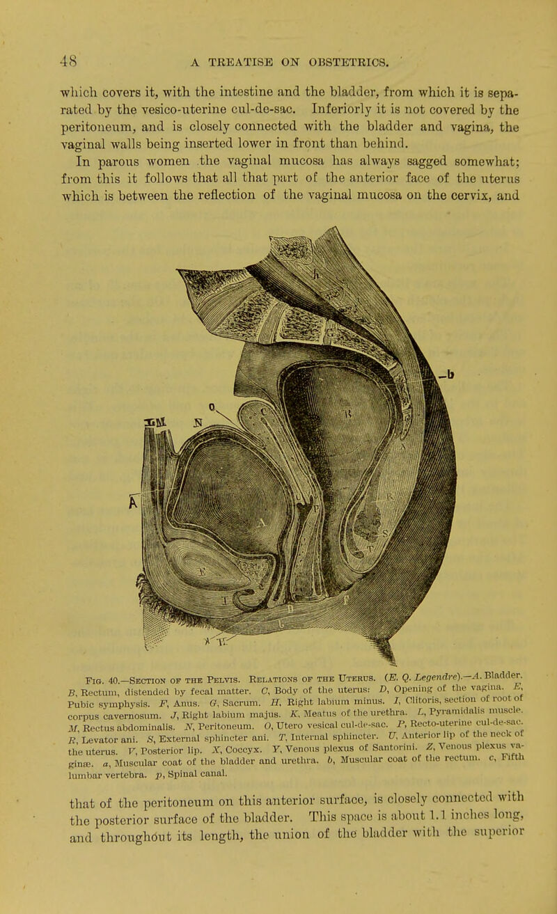 which covers it, with the intestine and the bladder, from which it is sepa- rated by the vesico-uterine cul-de-sac. Inferiorly it is not covered by the peritoneum, and is closely connected with the bladder and vagina, the vaginal walls being inserted lower in front than behind. In parous women .the vaginal mucosa has always sagged somewhat; from this it follows that all that part of the anterior face of the uterus which is between the reflection of the vaginal mucosa on the cervix, and Fig. 40.—Section op the Pelvis. Relations op the Uterus. {E. Q. Legendre).—A. Bladder. B Rectum, distended by fecal matter. C, Body of the uterus: D, Opening of the vagnui. E, Pubic symphysis. J?', Anus. G, Sacrum. Right labmm minus. /, Clitoris, section of root ot corpus cavernosum. J, Right labium majus. A', Meatus of the urethra. L, Pyramidnlis muscle. .1/ Rectus abdominalis. iV, Peritoneum. O, Utero vesical cul-de-sac. P, Recto-uterme eul-de-sao. Levator ani. S, External sphincter ani. T. Internal sphincter. CT, Anterior lip of the neck of the uterus. F, Posterior lip. X, Coccyx, y. Venous plexus of Santorini. Z, Venous plexus va- gince. a, Muscular coat of the bladder and urethra. 6, Muscular coat of the rectum, c, Hfth lumbar vertebra, p, Spinal canal. that of the peritoneum on this anterior surface, is closely connected with the posterior surface of the bladder. This space is about 1.1 inches long, and throughout its length, the union of the bladder with the superior