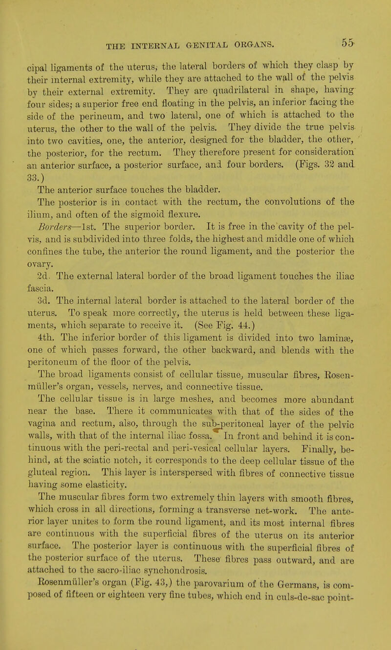 55> cipal ligaments of the uterus,- the lateral borders of which they clasp by their internal extremity, while they are attached to the wall of the pelvis by their external extremity. They are quadrilateral in shape, having four sides; a superior free end floating in the pelvis, an inferior facing the side of the perineum, and two lateral, one of which is attached to the uterus, the other to the wall of the pelvis. They divide the true pelvis into two cavities, one, the anterior, designed for the bladder, the other, the posterior, for the rectum. They therefore present for consideration' an anterior surface, a posterior surface, and four borders. (Figs. 32 and 33.) The anterior surface touches the bladder. The posterior is in contact with the rectum, the convolutions of the ilium, and often of the sigmoid flexure. Borders—1st. The superior border. It is free in the cavity of the pel- vis, and is subdivided into three folds, the highest and middle one of which confines the tube, the anterior the round ligament, and the posterior the ovary. 2d. The external lateral border of the broad ligament touches the iliac fascia. 3d. The internal lateral border is attached to the lateral border of the uterus. To speak more correctly, the uterus is held between these liga- ments, which separate to receive it. (See Fig. 44.) 4th. The inferior border of this ligament is divided into two laminae, one of which passes forward, the other backward, and blends with the peritoneum of the floor of the pelvis. The broad ligaments consist of cellular tissue^ muscular fibres, Rosen- milller's organ, vessels, nerves, and connective tissue. The cellular tissue is in large meshes, and becomes more abundant near the base. There it communicates with that of the sides of the vagina and rectum, also, through the subperitoneal layer of the pelvic walls, with that of the internal iliac fossa. In front and behind it is con- tinuous with the peri-rectal and peri-vesical cellular layers. Finally, be- hind, at the sciatic notch, it corresponds to the deep cellular tissue of the gluteal region. This layer is interspersed with fibres of connective tissue having some elasticity. The muscular fibres form two extremely thin layers with smooth fibres, which cross in all directions, forming a transverse net-work. The ante- rior layer unites to form the round ligament, and its most internal fibres are continuous with the superficial fibres of the uterus on its anterior surface. The posterior layer is continuous with the superficial fibres of the posterior surface of the uterus. These fibres pass outward, and are attached to the sacro-iliac synchondrosis. Rosenmiiller's organ (Fig. 43,) the parovarium of the Germans, is com- posed of fifteen or eighteen very fine tubes, which end in culs-de-sac point-
