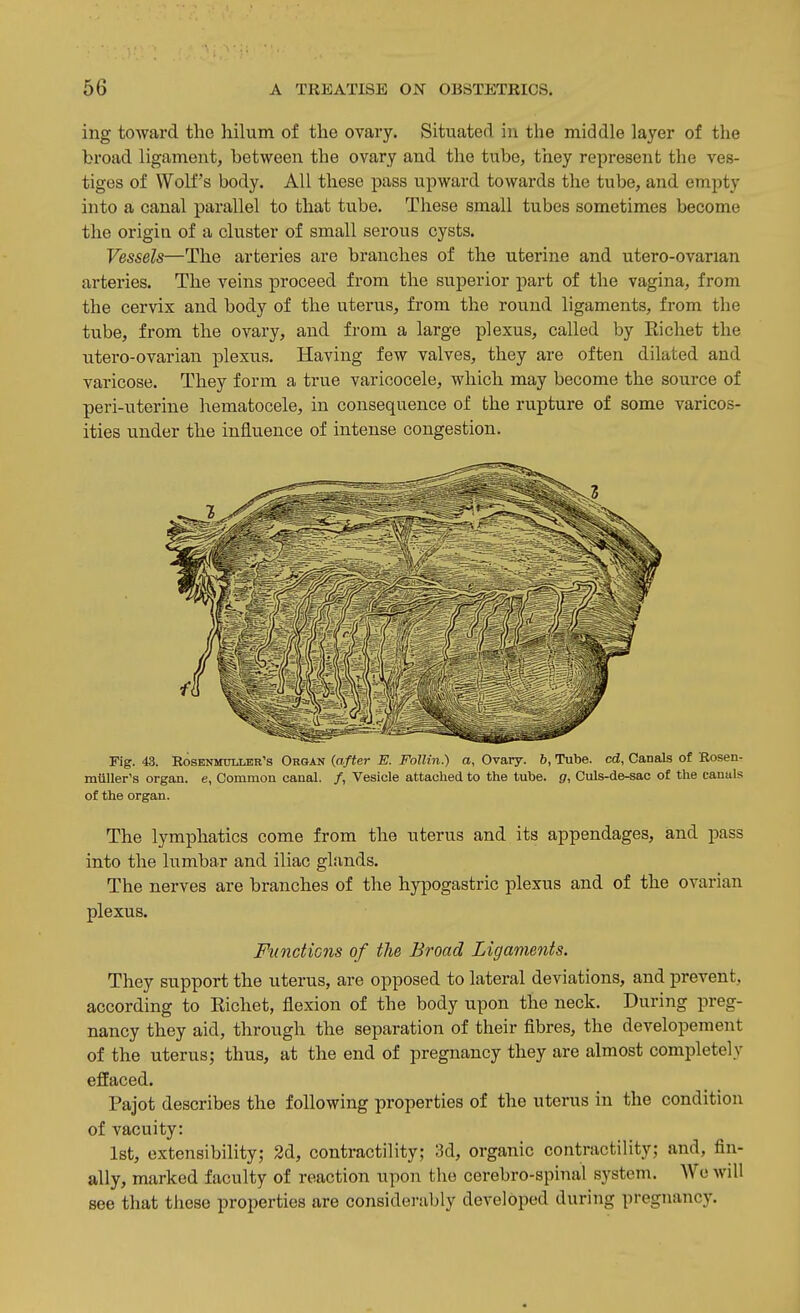 ing toward the liilum of the ovary. Situated in the middle layer of the broad ligament, between the ovary and the tube, they represent the ves- tiges of Wolf's body. All these pass upward towards the tube, and empty into a canal parallel to that tube. These small tubes sometimes become the origin of a cluster of small serous cysts. Vessels—The arteries are branches of the uterine and utero-ovarian arteries. The veins proceed from the superior part of the vagina, from the cervix and body of the uterus, from the round ligaments, from the tube, from the ovary, and from a large plexus, called by Richet the utero-ovarian plexus. Having few valves, they are often dilated and varicose. They form a true varicocele, which may become the source of peri-uterine hematocele, in consequence of the rupture of some varicos- ities under the influence of intense congestion. Fig. 43. RosENircLLER's Organ {after E. Follin.) a, Ovary. 6, Tube, cd, Canals of Rosen- mtiUer's organ, e, Common canal. /, Vesicle attached to the tube, g, Culs-de-sac of the canals of the organ. The lymphatics come from the uterus and its appendages, and pass into the lumbar and iliac glands. The nerves are branches of the hypogastric plexus and of the ovarian plexus. Functions of the Broad Ligaments. They support the uterus, are opposed to lateral deviations, and prevent, according to Richet, flexion of the body upon the neck. During preg- nancy they aid, through the separation of their fibres, the developement of the uterus; thus, at the end of pregnancy they are almost completely effaced. Pajot describes the following properties of the uterus in the condition of vacuity: Ist, extensibility; 2d, contractility; 3d, organic contractility; and, fin- ally, marked faculty of reaction upon the cerebro-spinal system. AVo will see that these properties are considerably developed during pregnancy.