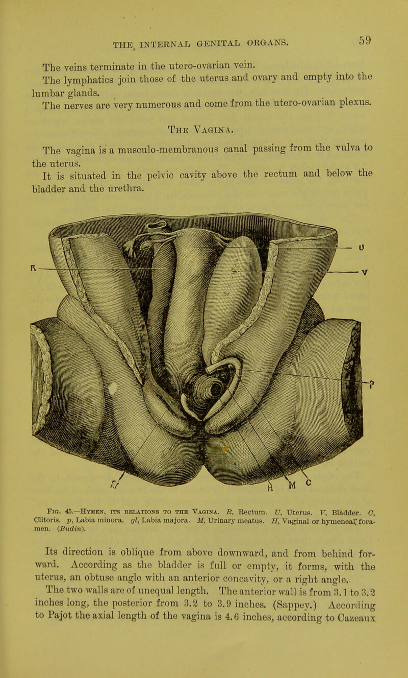 The veins terminate in tlie utcro-ovavian vein. The lymphatics join those of tiie uterus and ovary and empty into the lumbar glands. The nerves are very numerous and come from the utero-ovarian plexus. The Vagina. The vagina is a musculo-membranous canal passing from the vulva to the uterus. It is situated in the pelvic cavity above the rectum and below the bladder and the urethra. Fin. 45.—Hymen, its relations to the Vagina. R, Rectum. U, Utenis. F, Bladder. C, Clitoris, p, Labia minora, gl, Labia majora. JIf, Urinary meatus. H, Vaginal or hymeneal,* fora- men. (Budin). Its direction is oblique from above downward, and from behind for- ward. According as the bladder is full or empty, it forms, with the uterus, an obtuse angle with an anterior concavity, or a right angle. The two walls arc of unequal length. The anterior wall is from 3.1 to 3.3 inches long, the posterior from 3.2 to 3.9 inches. (Sappey.) According to Pajot the axial length of the vagina is 4.6 inches, according to Cazeaux
