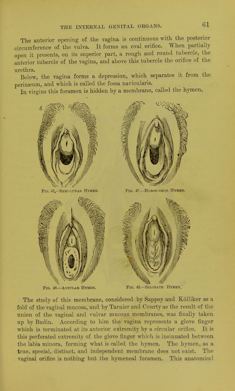 The anterior opening of the vagina is continuous with the posterior circumference of the vulva. It forms an oval orifice. When partially open it presents, on its superior part, a rough and round tubercle, the anterior tubercle of the vagina, and above this tubercle the orifice of the urethra. Below, the vagina forms a depression, which separates it from the perinteum, and which is called the fossa navicularis. In viro-ins this foramen is hidden by a membrane, called the hymen. Fig. 46.—Semi-lunar Hymen. Fig. 47.—Horse-shoe Htmbn. Fig. 48.—Annular Htmen. Fig. 49.—Bilobate Hymen, The study oE this membrane, considered by Sappey and Kolliker as a fold of the vaginal mucosa, and by Tarnier and Courty as the result of the union of the vaginal and vulvar mucous membranes, was finally taken up by Budin. According to him the vagina represents a glove finger which is terminated at its anterior extremity by a circular orifice. It is this perforated extremity of the glove finger which is insinuated between the labia minora, forming what is called the hymen. The hymen, as a true, special, distinct, and independent membrane does not exist. The vaginal orifice is nothing but the hymeneal foramen. This anatomicnl
