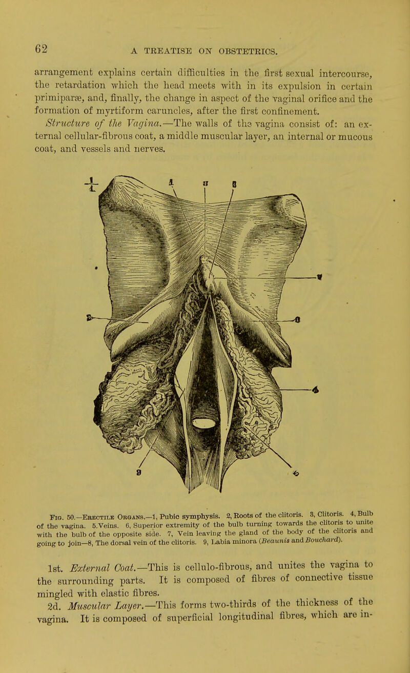 arrangement explains certain difficulties in the first sexual intercourse, the retardation which the head meets with in its expulsion in certain primipar», and, finally, the change in aspect of the vaginal orifice and the formation of myrtiform caruncles, after the first confinement. Structure of the Vagina.—The walls of ths vagina consist of: an ex- ternal cellular-fibrous coat, a middle muscular layer, an internal or mucous coat, and vessels and nerves. Fig. 50.-Erectile Organs.-1, Pubic symphysis. 2, Roots of the clitoris. 3, Clitons. 4, Bulb of the vagina. 5.Veins. 6, Superior extremity of the bulb turning towards the cUtoris to unite with the bulb of the opposite side. 7, Vein leavinpr the gland of the body of the clitoris and going to join—8, The dorsal vein of the cUtoris. 9, habia niinora (Beaunis and Bouchard). Ist. External Coa^.—This is cellulo-fibrous, and unites the vagina to the surrounding parts. It is composed of fibres of connective tissue mingled with elastic fibres. 2d. Muscular iaye/-.—This forms two-thirds of the thickness of the vagina. It is composed of superficial longitudinal fibres, which are in-