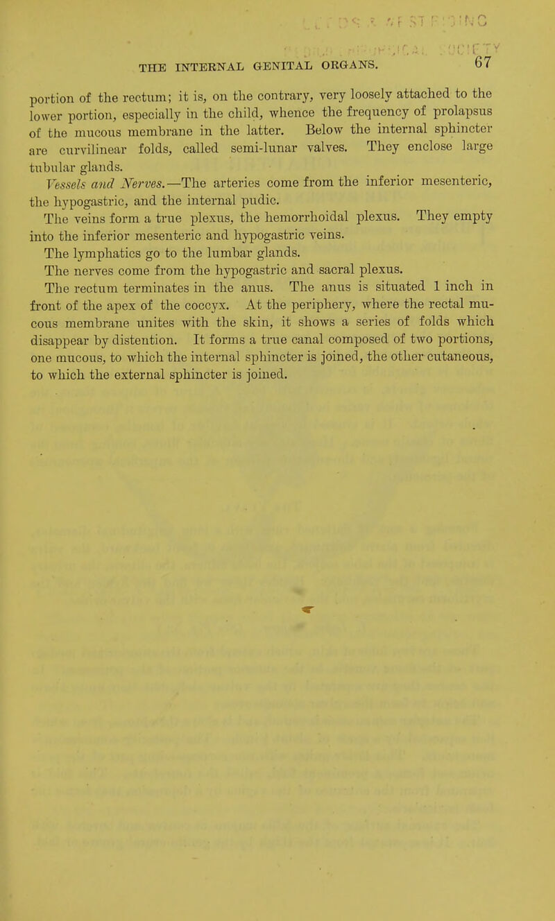 portion of the rectum; it is, on the contrary, very loosely attached to the lower portion, especially in the child, whence the frequency of prolapsus of the mucous membrane in the latter. Below the internal sphincter are curvilinear folds, called semi-lunar valves. They enclose large tubular glands. Vessels and Mrves.—The arteries come from the inferior mesenteric, the hypogastric, and the internal pudic. The veins form a true plexus, the hemorrhoidal plexus. They empty into the inferior mesenteric and hypogastric veins. The lymphatics go to the lumbar glands. The nerves come from the hypogastric and sacral plexus. The rectum terminates in the anus. The anus is situated 1 inch in front of the apex of the coccyx. At the periphery, where the rectal mu- cous membrane unites with the skin, it shows a series of folds which disappear by distention. It forms a true canal composed of two portions, one mucous, to which the internal sphincter is joined, the other cutaneous, to wliich the external sphincter is joined.