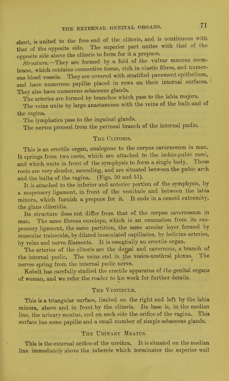 short is united to the free end of tlie clitoris, and is continuous with that of the opposite side. The superior part unites with that of the opposite side above the clitoris to form for it a prepuce. Structure—T\iey are formed by a fold of the vulvar mucous mem- brane, which contains connective tissue, rich in elastic fibres, and numer- ous blood vessels. They are covered with stratified pavement epithelium, , and have numerous papillae placed in rows on their internal surfaces. ' They also have numerous sebaceous glands. The arteries are formed by branches which pass to the labia majora. The veins unite by large anastomoses with the veins of the bulb and of the vagina. The lymphatics pass to the inguinal glands. The nerves proceed from the perineal branch of the internal pudic. The Clitoris. This is an erectile organ, analogous to the corpus cavemosum in man. It springs from two roots, which are attached to the ischio-pubic rami, and which unite in front of the symphysis to form a single body. These roots are very slender, ascending, and are situated between the pubic arch and the bulbs of the vagina. (Figs. 50 and 51), It is attached to the inferior and anterior portion of the symphysis, by a suspensory ligament, in front of the vestibule and between the labia minora, which furnish a prepuce for it. It ends in a conoid extremity, the glans clitoridis. Its structure does not differ from that of the corpus cavernosum in man. The same fibrous envelope, which is an emanation from its sus- pensory ligament, the same partition, the same areolar layer formed by muscular trabeculse, by dilated inosculated capillaries, by helicine arteries, by veins and nerve filaments. It is essentially an erectile organ. The arteries of the clitoris are the do^l and cavernous, a branch of the internal pudic. The veins end in the vesico-urethral plexus. The nerves spring from the internal pudic nerve. Kobelt has carefully studied the erectile apparatus of the genital organs of woman, and we refer the reader to his work for further details. The Vestibule. This is a triangular surface, limited on the right and left by the labia minora, above and in front by the clitoris. Its base is, in the median line, the urinary meatus, and on each side the orifice of the vagina. This surface has some papillae and a small number of simple sebaceous glands. The TJrinary Meatus. This is the external orifice of the urethra. It is situated on the median line immediately above the tubercle which terminates the superior wall