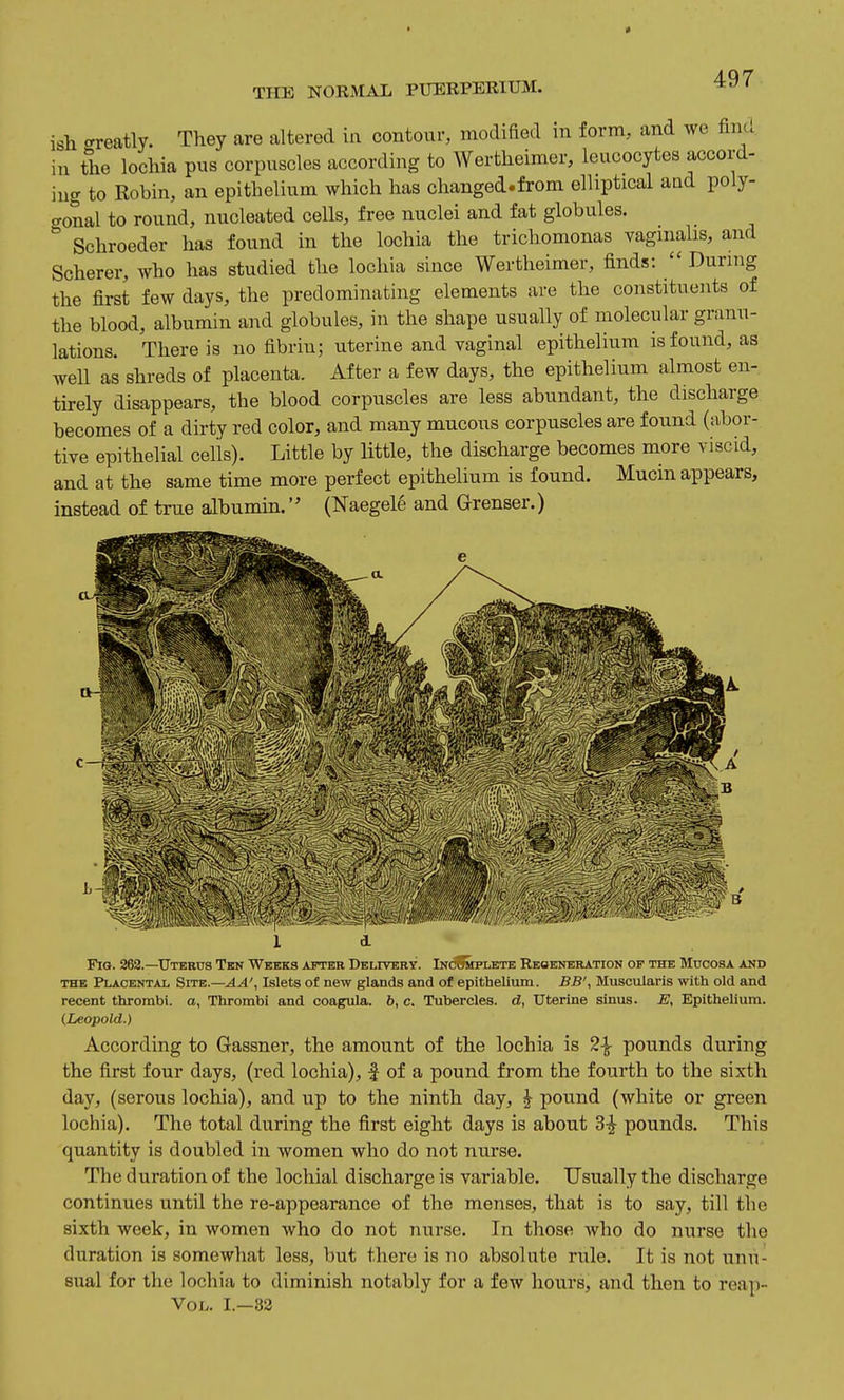 ish -reatly. They are altered in contour, modifled in form, and we finu in the lochia pus corpuscles according to Wertheiraer, leucocytes accord- iug to Robin, an epithelium which has changed.from elliptical aad poly- gonal to round, nucleated cells, free nuclei and fat globules. Schroeder has found in the lochia the trichomonas vaginalis, and Scherer, who has studied the lochia since Wertheimer, finds:  During the first few days, the predominating elements are the constituents of the blood, albumin and globules, in the shape usually of molecular granu- lations. There is no fibrin; uterine and vaginal epithelium is found, as well as shreds of placenta. After a few days, the epithelium almost en- tirely disappears, the blood corpuscles are less abundant, the discharge becomes of a dirty red color, and many mucous corpuscles are found (abor- tive epithelial cells). Little by little, the discharge becomes more viscid, and at the same time more perfect epithelium is found. Mucin appears, instead of true albumin. (Naegele and Grenser.) Fig. 262.—Uterus Ten Weeks after Delivery. IncSmplbtb Eeoeneration of the Mucosa and THE Placental Sitb.—AA', Islets of new glands and of epithelium. BB', Muscularis with old and recent thrombi, a, Thrombi and coa^la. 6, c. Tubercles, d, Uterine sinus. E, Epithelium. (Leopold.) According to Gassner, the amount of the lochia is 2^ pounds during the first four days, (red lochia), f of a pound from the fourth to the sixth day, (serous lochia), and up to the ninth day, J pound (white or green lochia). The total during the first eight days is about 3^ pounds. This quantity is doubled in women who do not nurse. The duration of the lochial discharge is variable. Usually the discharge continues until the re-appearance of the menses, that is to say, till the sixth week, in women who do not nurse. In those who do nurse the duration is somewhat less, but there is no absolute rule. It is not unu- sual for the lochia to diminish notably for a few hours, and then to reap- VoL. I.-82