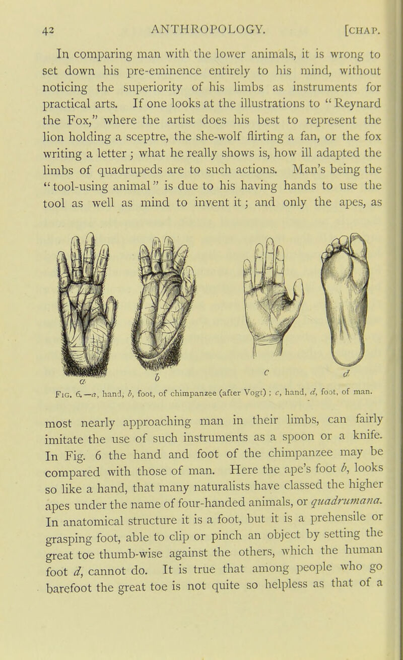In comparing man with the lower animals, it is wrong to set down his pre-eminence entirely to his mind, without noticing the superiority of his limbs as instruments for practical arts. If one looks at the illustrations to  Reynard the Fox, where the artist does his best to represent the lion holding a sceptre, the she-wolf flirting a fan, or the fox writing a letter; what he really shows is, how ill adapted the limbs of quadrupeds are to such actions. Man's being the  tool-using animal is due to his having hands to use the tool as well as mind to invent it; and only the apes, as Fig. 6,-11, hand, l>, foot, of chimpanzee (after Vogt) ; c, hand, d, foot, of man. most nearly approaching man in their limbs, can fairly imitate the use of such instruments as a spoon or a knife. In Fig. 6 the hand and foot of the chimpanzee may be compared with those of man. Here the ape's foot ^, looks so hke a hand, that many naturalists have classed the higher apes under the name of four-handed animals, or quadruniaiw. In anatomical structure it is a foot, but it is a prehensile or grasping foot, able to dip or pinch an object by setting the great toe thumb-wise against the others, which the human foot d, cannot do. It is true that among people who go barefoot the great toe is not quite so helpless as that of a