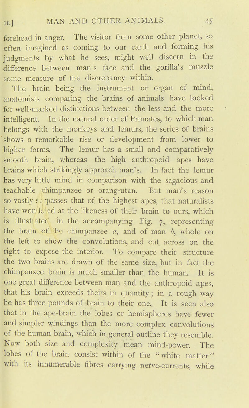 forehead in anger. The visitor from some other planet, so often imagined as coming to our earth and forming his judgments by what he sees, might well discern in the difference between man's face and the gorilla's muzzle some measure of the discrepancy within. The brain being the instrument or organ of mind, anatomists comparing the brains of animals have looked for well-marked distinctions between the less and the more intelligent. In the natural order of Primates, to which man belongs with the monkeys and lemurs, the series of brains shows a remarkable rise or development from lower to higher forms. The lemur has a small and comparatively smooth brain, whereas the high anthropoid apes have brains which strikingly approach man's. In fact the lemur has very little mind in comparison with the sagacious and teachable chimpanzee or orang-utan. But man's reason so vastly s j -passes that of the highest apes, that naturalists have won la ed at the likeness of their brain to ours, which is illustatec in the accompanying Fig. 7, representing the brain of bo chimpanzee a, and of man whole on the left to shovv the convolutions, and cut across on the right to expose the interior. To compare their structure the two brains are drawn of the same size, but in fact the chimpanzee brain is much smaller than the human. It is one great difference between man and the anthropoid apes, that his brain exceeds theirs in quantity; in a rough way he has three pounds of brain to their one.. It is seen also that in the ape-brain the lobes or hemispheres have fewer and simpler windings than the more complex convolutions of the human brain, which in general outline they resemble. Now both size and complexity mean mind-power. The lobes of the brain consist within of the white matter with its innumerable fibres carrying nerve-currents, while