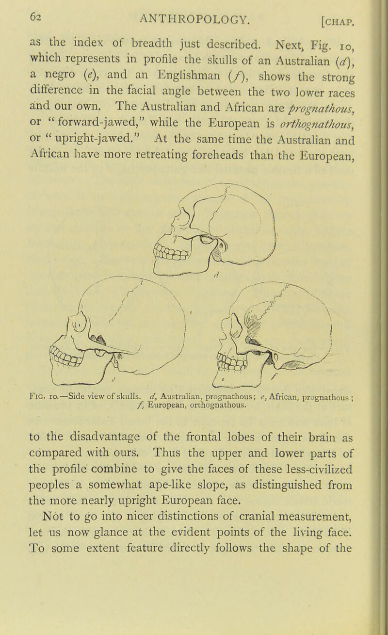 as the index of breadth just described. Next, Fig. lo, which represents in profile the skulls of an Australian {d), a negro {e), and an Englishman (/), shows the strong difference in the facial angle between the two lower races and our own. The Australian and African are prognathous, or  forward-jawed, while the European is orthognathous, or upright-jawed. At the same time the Australian and African have more retreating foreheads than the European, Fig. 10.—Side view of skulls, d, Australian, prognathous; f, African, prognathous ; European, orthognathous. to the disadvantage of the frontal lobes of their brain as compared with ours. Thus the upper and lower parts of the profile combine to give the faces of these less-civilized peoples a somewhat ape-like slope, as distinguished from the more nearly upright European face. Not to go into nicer distinctions of cranial measurement, let us now glance at the evident points of the living face. To some extent feature directly follows the shape of the