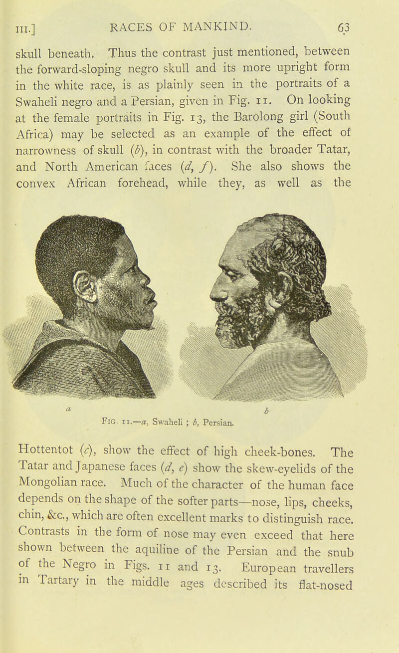 skull beneath. Thus the contrast just mentioned, between the forward-sloping negro skull and its more upright form in the white race, is as plainly seen in the portraits of a Swaheli negro and a Persian, given in Fig. ii. On looking at the female portraits in Fig. 13, the Barolong girl (South Africa) may be selected as an example of the effect of narrowness of skull {b), in contrast with the broader Tatar, and North American faces {d, f). She also shows the convex African forehead, while they, as well as the Fig. II.—a, Swaheli ; b, Persian. Hottentot {c), show the effect of high cheek-bones. The Tatar and Japanese faces {d, e) show the skew-eyelids of the Mongolian race. Much of the character of the human face depends on the shape of the softer parts—nose, lips, cheeks, chin, &c., which are often excellent marks to distinguish race. Contrasts in the form of nose may even exceed that here shown between the aquiline of the Persian and the snub of the Negro in Figs. 11 and 13. European travellers in Tartary in the middle ages described its flat-nosed