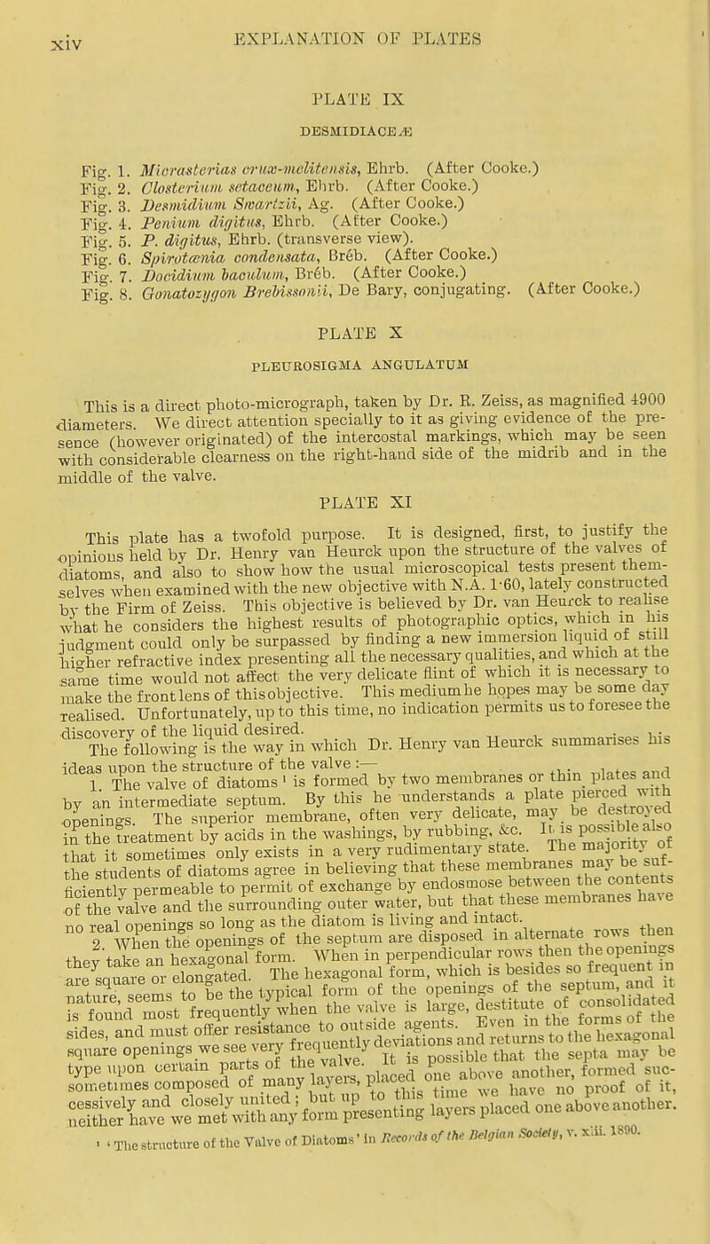PLATE IX DESMIDIACEyK Fig. 1. Mloraderias vrux-mditi-iisis, Ehrb. (After Cooke.) Fig. 2. Clostcrium ^etaceum., Elirb. (After Cooke.) Fig. 3. Desmidium Sieart:ii, Ag. (After Cooke.) Fig. 4. Penium (lir/ltus, Ehrb. (After Cooke.) Fig. 5. P- digitus, Ehrb. (transverse view). Fig. 6. Spirotania condensata, Breb. (After Cooke.) Fio- 7. Docidinm haculuin, Breb. (After Cooke.) Fig 8. Gonatozygon BreUssoiiii, De Bary, conjugating. (After Cooke.) PLATE X PLEUROSIGMA ANGULATUM This is a direct photo-micrograph, taken by Dr. R. Zeiss, as magnified -1900 diameters We direct attention specially to it as giving evidence of the pre- sence (however originated) of the intercostal markings, which may be seen with considerable clearness on the right-hand side of the midrib and in the middle of the valve. PLATE XI This plate has a twofold purpose. It is designed, first, to justify the opinions held bv Dr. Henry van Heurck upon the structure of the valves of diatoms and also to show how the usual microscopical tests present them- selves when examined with the new objective with N.A. 1-60, lately constructed bv the Firm of Zeiss. This objective is believed by Dr. van Heurck to reahse what he considers the highest results of photographic optics, which in his judgment could only be surpassed by finding a new inimersion liquid of still hi°-her refractive index presenting all the necessary qualities, and which at the same time would not affect the very delicate flint of which it is necessary to make the front lens of thisobjective. This mediumhe hopes may be some day reaHsed. Unfortunately, up to this time, no indication permits us to foresee the discovery of the liquid desired. , • „ The following is the way in which Dr. Henry van Heurck summarises his ideas upon the structure of the valve 1 The valve of diatoms ■ is formed by two membranes or thin_ plates and by an intermediate septum. By this he understands a plate Pureed with openings. The superior membrane, often very delicate, may be destroyed ?n' the freatment b? acids in the washings, by rubbing, &c P^-^^^ ^l^^ that it sometimes only exists in a very rudimentary state The majority ot the students of diatoms agree in believing that these membranes may be s^f ficiently permeable to permit of exchange by endosmose between the contents of X valve and the surrounding outer water, but that these membranes ha^e r,n rpal openings so long as the diatom is living and intact. When the openings of the septum are disposed in alternate rows then thPvtSe an hexaCaf form. When in perpendicular row.s then the openings they take an ^^x^ ona^^ ™ hexa-onal form, which is besides so frequent in