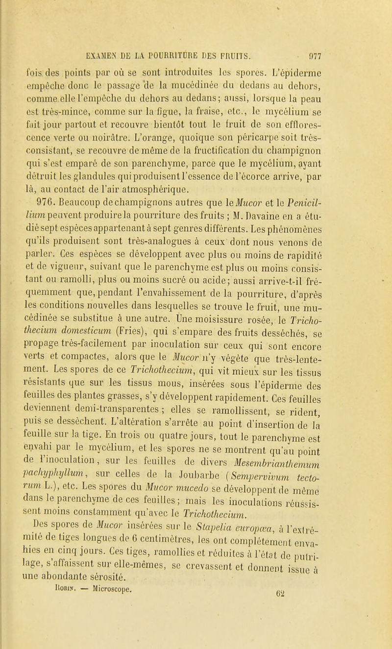 fois, des points par où se sont introduites les spores. L'épidcrme onipèche donc le passage cle la nuicédinée du dedans au dehors, comme elle l'empêche du dehors au dedans; aussi, lorsque la peau est très-mince, comme sur la figue, la fraise, etc., le mycélium se fait jour partout et recouvre bientôt tout le fruit de son efflores- cence verte ou noirâtre. L'orange, quoique son péricarpe soit très- consistant, se recouvre de même de la fructification du champignon qui s'est emparé de son parenchyme, parce que le mycélium, ayant détruit les glandules qui produisent l'essence de l'écorce arrive, par là, au contact de l'air atmosphérique. 976. Beaucoup dechampignons autres que leMucor et le Penicil- /tM??i peuvent produire la pourriture des fruits ; M. Davaine en a étu- dié sept espèces appartenant à sept genres différents. Les phénomènes qu'ils produisent sont très-analogues à ceux dont nous venons de parler. Ces espèces se développent avec plus ou moins de rapidité et de vigueur, suivant que le parenchyme est plus ou moins consis- tant ou ramolli, plus ou moins sucré ou acide; aussi arrive-t-il fré- quemment que, pendant l'envahissement de la pourriture, d'après les conditions nouvelles dans lesquelles se trouve le fruit, une mu- cédinée se substitue à une autre. Une moisissure rosée, le Tricho- thecium domesticiim (Fries), qui s'empare des fruits desséchés, se propage très-facilement par inoculation sur ceux qui sont encore verts et compactes, alors que le Mucor n'y végète que très-lente- ment. Les spores de ce Trichothecium, qui vit mieux sur les tissus résistants que sur les tissus mous, insérées sous l'épiderme des feuilles des plantes grasses, s'y développent rapidement. Ces feuilles deviennent demi-transparentes ; elles se ramollissent, se rident, puis se dessèchent. L'altération s'arrête au point d'insertion de la feuille sur la tige. En trois ou quatre jours, tout le parenchyme est envahi par le mycélium, et les spores ne se montrent qu'au point de l'inoculation, sur les feuilles de divers Mesembrianthemum pachyplujllum, sur celles de la Joubarbe {Sempervivum tecto- rum L.), etc. Les spores du Mvcor mucedo se développent de même dans le parenchyme de ces feuilles; mais les inoculations réussis- sent moins constamment qu'avec le Trichothecium. Des spores de Mucor insérées sur le Slapelia europœa, à l'extré- milé de tiges longues de 6 centimètres, les ont complètement enva- hies en cinq jours. Ces tiges, ramollies et réduites à l'état de pulri- lage, s'affaissent sur elle-mêmes, se crevassent et donnent issue à une abondante sérosité. Robin. — Microscope.