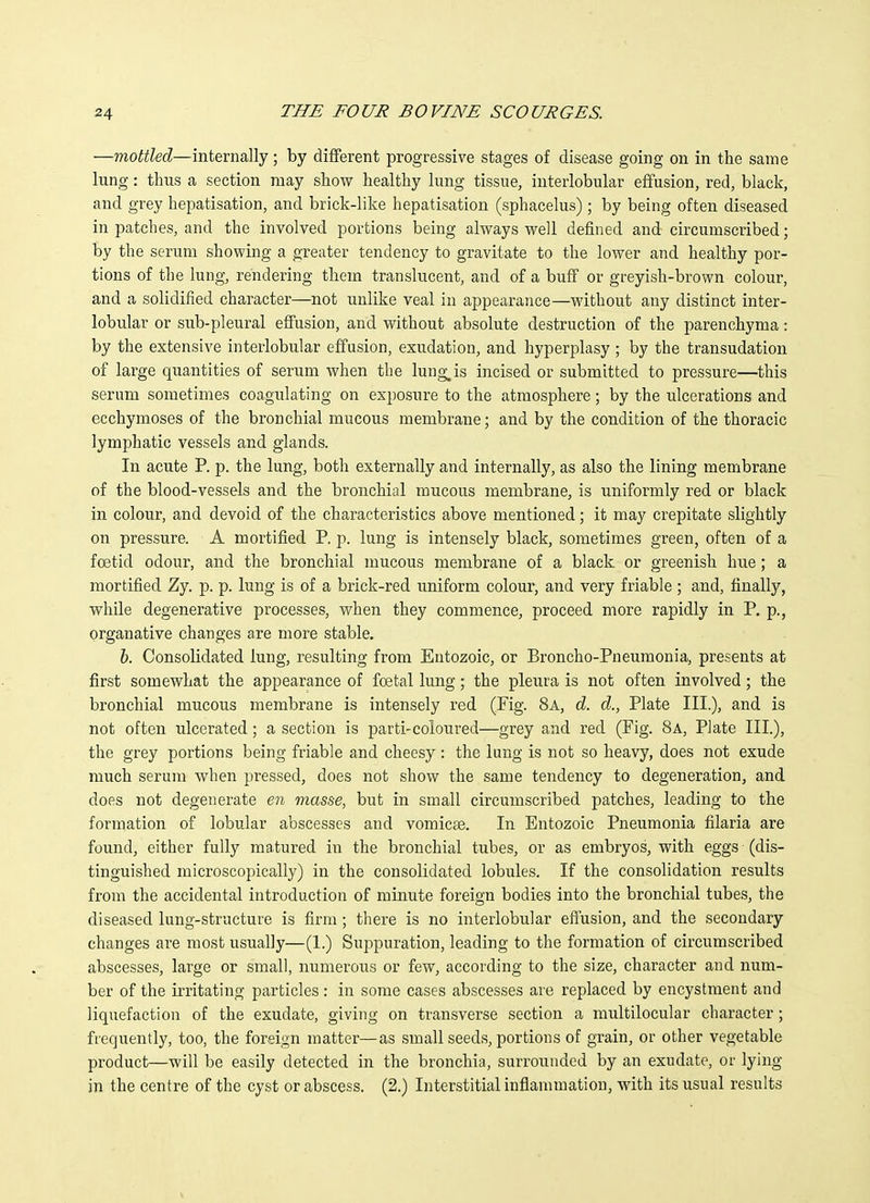 —mottled—internally ; by different progressive stages of disease going on in the same lung: thus a section may show healthy lung tissue, interlobular effusion, red, black, and grey hepatisation, and brick-like hepatisation (sphacelus); by being often diseased in patches, and the involved portions being always well defined and circumscribed; by the serum showing a greater tendency to gravitate to the lower and healthy por- tions of the lung, rendering them translucent, and of a buff or greyish-brown colour, and a solidified character—not unlike veal in appearance—without any distinct inter- lobular or sub-pleural effusion, and without absolute destruction of the parenchyma: by the extensive interlobular effusion, exudation, and hyperplasy ; by the transudation of large quantities of serum when the lung^is incised or submitted to pressure—this serum sometimes coagulating on exposure to the atmosphere; by the ulcerations and ecchymoses of the bronchial mucous membrane; and by the condition of the thoracic lymphatic vessels and glands. In acute P. p. the lung, both externally and internally, as also the lining membrane of the blood-vessels and the bronchial mucous membrane, is uniformly red or black in colour, and devoid of the characteristics above mentioned; it may crepitate slightly on pressure. A mortified P. p. lung is intensely black, sometimes green, often of a foetid odour, and the bronchial mucous membrane of a black or greenish hue ; a mortified Zy. p. p. lung is of a brick-red uniform colour, and very friable ; and, finally, while degenerative processes, when they commence, proceed more rapidly in P. p., Organative changes are more stable. 6. Consolidated lung, resulting from Entozoic, or Broncho-Pneumonia, presents at first somewhat the appearance of foetal lung; the pleura is not often involved; the bronchial mucous membrane is intensely red (Fig. 8a, d. d., Plate III.), and is not often ulcerated; a section is parti-coloured—grey and red (Fig. 8a, Plate III.), the grey portions being friable and cheesy : the lung is not so heavy, does not exude much serum when pressed, does not show the same tendency to degeneration, and does not degenerate en masse, but in small circumscribed patches, leading to the formation of lobular abscesses and vomicae. In Entozoic Pneumonia filaria are found, either fully matured in the bronchial tubes, or as embryos, with eggs (dis- tinguished microscopically) in the consolidated lobules. If the consolidation results from the accidental introduction of minute foreign bodies into the bronchial tubes, the diseased lung-structure is firm; there is no interlobular effusion, and the secondary changes are most usually—(1.) Suppuration, leading to the formation of circumscribed abscesses, large or small, numerous or few, according to the size, character and num- ber of the irritating particles: in some cases abscesses are replaced by encystraent and liquefaction of the exudate, giving on transverse section a multilocular character; frequently, too, the foreign matter—as small seeds, portions of grain, or other vegetable product—will be easily detected in the bronchia, surrounded by an exudate, or lying in the centre of the cyst or abscess. (2.) Interstitial inflammation, with its usual results