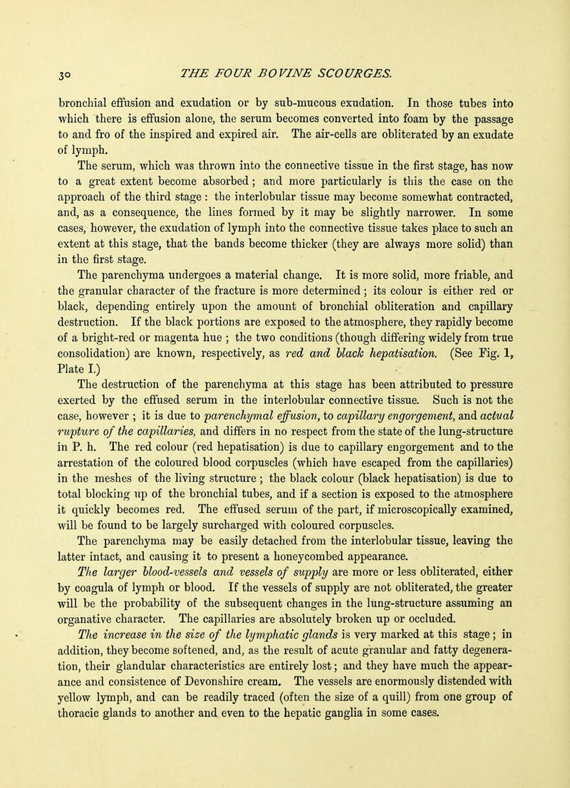 bronchial efiFusion and exudation or by sub-mucous exudation. In those tubes into which there is effusion alone, the serum becomes converted into foam by the passage to and fro of the inspired and expired air. The air-cells are obliterated by an exudate of lymph. The serum, which was thrown into the connective tissue in the first stage, has now to a great extent become absorbed; and more particularly is this the case on the approach of the third stage : the interlobular tissue may become somewhat contracted, and, as a consequence, the lines formed by it may be slightly narrower. In some cases, however, the exudation of lymph into the connective tissue takes place to such an extent at this stage, that the bands become thicker (they are always more solid) than in the first stage. The parenchyma undergoes a material change. It is more solid, more friable, and the granular character of the fracture is more determined ; its colour is either red or black, depending entirely upon the amount of bronchial obliteration and capillary destruction. If the black portions are exposed to the atmosphere, they rapidly become of a bright-red or magenta hue ; the two conditions (though differing widely from true consolidation) are known, respectively, as red and black hepatisation. (See Fig. 1, Plate I.) The destruction of the parenchyma at this stage has been attributed to pressure exerted by the effused serum in the interlobular connective tissue. Such is not the case, however ; it is due to parenchymal effusion, to capillary engorgement, and actual rupture of the capillaries, and differs in no respect from the state of the lung-structure in P. h. The red colour (red hepatisation) is due to capillary engorgement and to the arrestation of the coloured blood corpuscles (which have escaped from the capillaries) in the meshes of the living structure ; the black colour (black hepatisation) is due to total blocking up of the bronchial tubes, and if a section is exposed to the atmosphere it quickly becomes red. The effused serum of the part, if microscopically examined, will be found to be largely surcharged with coloured corpuscles. The parenchyma may be easily detached from the interlobular tissue, leaving the latter intact, and causing it to present a honeycombed appearance. The larger blood-vessels and vessels of supply are more or less obliterated, either by coagula of lymph or blood. If the vessels of supply are not obliterated, the greater will be the probability of the subsequent changes in the lung-structure assuming an organative character. The capillaries are absolutely broken up or occluded. The increase in the size of the lymphatic glands is very marked at this stage; in addition, they become softened, and, as the result of acute granular and fatty degenera- tion, their glandular characteristics are entirely lost; and they have much the appear- ance and consistence of Devonshire cream. The vessels are enormously distended with yellow lymph, and can be readily traced (often the size of a quill) from one group of thoracic glands to another and even to the hepatic ganglia in some cases.