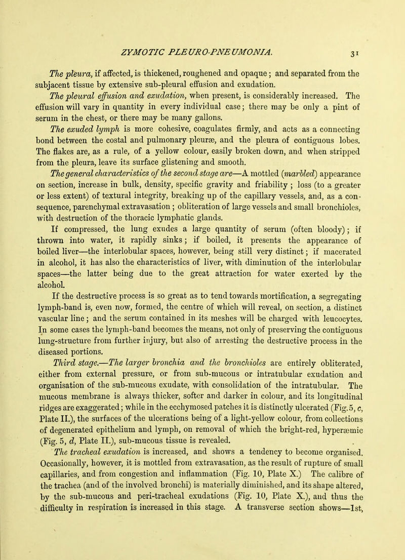 The pleura, if affected, is thickened, roughened and opaque; and separated from the subjacent tissue by extensive sub-pleural effusion and exudation. The pleural effusion and exudation, when present, is considerably increased. The effusion will vary in quantity in every individual case; there may be only a pint of serum in the chest, or there may be many gallons. The exuded lymph is more cohesive, coagulates firmly, and acts as a connecting bond between the costal and pulmonary pleurae, and the pleura of contiguous lobes. The flakes rule, of a yellow colour, easily broken down, and when stripped from the pleura, leave its surface glistening and smooth. The general characteristics of the second stage are—A mottled (marbled) appearance on section, increase in bulk, density, specific gravity and friability ; loss (to a greater or less extent) of textural integrity, breaking up of the capillary vessels, and, as a con- sequence, parenchymal extravasation ; obliteration of large vessels and small bronchioles, with destruction of the thoracic lymphatic glands. If compressed, the lung exudes a large quantity of serum (often bloody); if thrown into water, it rapidly sinks; if boiled, it presents the appearance of boiled liver—the interlobular spaces, however, being still very distinct; if macerated in alcohol, it has also the characteristics of liver, with diminution of the interlobular spaces—the latter being due to the great attraction for water exerted by the alcohol. If the destructive process is so great as to tend towards mortification, a segregating lymph-band is, even now, formed, the centre of which will reveal, on section, a distinct vascular line ; and the serum contained in its meshes will be charged with leucocytes. In some cases the lymph-band becomes the means, not only of preserving the contiguous lung-structure from further injury, but also of arresting the destructive process in the diseased portions. Third stage.—The larger bronchia and the bronchioles are entirely obliterated, either from external pressure, or from sub-mucous or intratubular exudation and organisation of the sub-mucous exudate, with consolidation of the intratubular. The mucous membrane is always thicker, softer and darker in colour, and its longitudinal ridges are exaggerated; while in the ecchymosed patches it is distinctly ulcerated (Fig. 5, c, Plate II.), the surfaces of the ulcerations being of a light-yellow colour, from collections of degenerated epithelium and lymph, on removal of which the bright-red, hypersemic (Fig. 5, d, Plate II.), sub-mucous tissue is revealed. The tracheal exudation is increased, and shows a tendency to become organised. Occasionally, however, it is mottled from extravasation, as the result of rupture of small capillaries, and from congestion and inflammation (Fig. 10, Plate X.) The calibre of the trachea (and of the involved bronchi) is materially diminished, and its shape altered, by the sub-mucous and peri-tracheal exudations (Fig. 10, Plate X.), and thus the difficulty in respiration is increased in this stage. A transverse section shows—1st,