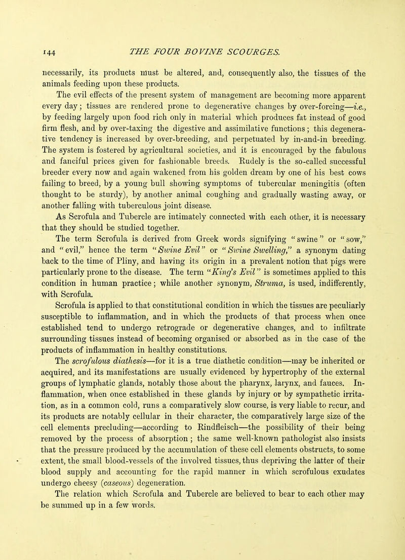 necessarily, its products must be altered, and, consequently also, the tissues of the animals feeding upon these products. The evil effects of the present system of management are becoming more apparent every day; tissues are rendered prone to degenerative changes by over-forcing—i.e., by feeding largely upon food rich only in material which produces fat instead of good firm flesh, and by over-taxing the digestive and assimilative functions ; this degenera- tive tendency is increased by over-breeding, and perpetuated by in-and-in breeding. The system is fostered by agricultural societies, and it is encouraged by the fabulous and fanciful prices given for fashionable breeds. Eudely is the so-called successful breeder every now and again wakened from his golden dream by one of his best cows failing to breed, by a young bull showing symptoms of tubercular meningitis (often thought to be sturdy), by another animal coughing and gradually wasting away, or another falling with tuberculous joint disease. As Scrofula and Tubercle are intimately connected with each other, it is necessary that they should be studied together. The term Scrofula is derived from Greek words signifying  swine  or  sow, and  evil, hence the term  Swine Evil or  Swine Swelling, a synonym dating back to the time of Pliny, and having its origin in a prevalent notion that pigs were particularly prone to the disease. The term King's Evil is sometimes applied to this condition in human practice; while another synonym. Struma, is used, indifferently, with Scrofula. Scrofula is applied to that constitutional condition in which the tissues are peculiarly susceptible to inflammation, and in which the products of that process when once established tend to undergo retrograde or degenerative changes, and to infiltrate surrounding tissues instead of becoming organised or absorbed as in the case of the products of inflammation in healthy constitutions. The scrofulous diathesis—for it is a true diathetic condition—may be inherited or acquired, and its manifestations are usually evidenced by hypertrophy of the external groups of lymphatic glands, notably those about the pharynx, larynx, and fauces. In- flammation, when once established in these glands by injury or by sympathetic irrita- tion, as in a common cold, runs a comparatively slow course, is very liable to recur, and its products are notably cellular in their character, the comparatively large size of the cell elements precluding—according to Eindfleisch—the possibility of their being removed by the process of absorption; the same well-known pathologist also insists that the pressure produced by the accumulation of these cell elements obstructs, to some extent, the small blood-vessels of the involved tissues, thus depriving the latter of their blood supply and accounting for the rapid manner in which scrofulous exudates undergo cheesy (caseous) degeneration. The relation which Scrofula and Tubercle are believed to bear to each other may be summed up in a few words.