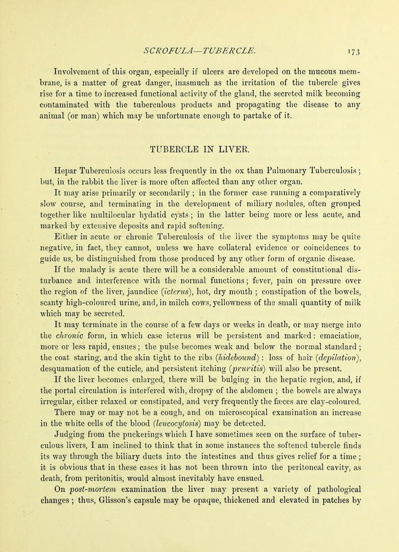 Involvement of this organ, especially if ulcers are developed on the mucous mem- brane, is a matter of great danger, inasmuch as tlie irritation of the tubercle gives rise for a time to increased functional activity of the gland, the secreted milk becoming contaminated with the tuberculous products and propagating the disease to any animal (or man) which may be unfortunate enough to partake of it. TUBERCLE IN LIVER. Hepar Tuberculosis occurs less frequently in the ox than Pulmonary Tuberculosis; but, in the rabbit the liver is more often affected than any other organ. It may arise primarily or secondarily ; in the former case running a comparatively slow course, and terminating in the development of miliary nodules, often grouped together like multilocular hydatid cysts ; in the latter being more or less acute, and marked by extensive deposits and rapid softening. Either in acute or chronic Tuberculosis of the liver the symptoms may be quite negative, in fact, they cannot, unless we have collateral evidence or coincidences to guide us, be distinguished from those produced by any otlier form of organic disease. If the malady is acute there will be a considerable amount of constitutional dis- turbance and interference with the normal functions; fever, pain on pressure over the region of the liver, jaundice {icterus), hot, dry mouth ; constipation of the bowels, scanty high-coloured urine, and, in milch cows, yellowness of the small quantity of milk which may be secreted. It may terminate in the course of a few days or weeks in death, or may merge into the chronic form, in which case icterus will be persistent and marked: emaciation, more or less rapid, ensues; the pulse becomes weak and below the normal standard ; the coat staring, and the skin tight to the ribs (Iddebound): loss of hair (depilation), desquamation of the cuticle, and persistent itching (pruritis) will also be present. If the liver becomes enlarged, there will be bulging in the hepatic region, and, if the portal circulation is interfered with, dropsy of the abdomen ; the bowels are always irregular, either relaxed or constipated, and very frequently the fiBces are clay-coloured. There may or may not be a cough, and on microscopical examination an increase in the white cells of the blood (leiicocyiosis) may be detected. Judging from the puckerings which I have sometimes seen on the surface of tuber- culous livers, I am inclined to think that in some instances the softened tubei'cle finds its way through the biliary ducts into the intestines and thus gives relief for a time ; it is obvious that in these cases it has not been thrown into the peritoneal cavity, as death, from peritonitis, would almost inevitably have ensued. On post-mortem examination the liver may present a variety of pathological changes ; thus, Glisson's capsule may be opaque, thickened and elevated in patches by