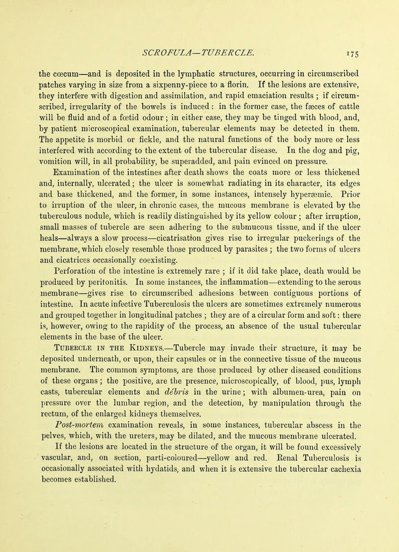 the ccecum—and is deposited in the lymphatic structures, occurring in circumscribed patches varying in size from a sixpenny-piece to a florin. If the lesions are extensive, they interfere with digestion and assimilation, and rapid emaciation results ; if circum- scribed, irregularity of the bowels is induced: in the former case, the faeces of cattle will be fluid and of a foetid odour ; in either case, they may be tinged with blood, and, by patient microscopical examination, tubercular elements may be detected in them. The appetite is morbid or fickle, and the natural functions of the body more or less interfered with according to the extent of the tubercular disease. In the dog and pig, vomition will, in all probability, be superadded, and pain evinced on pressure. Examination of the intestines after death shows the coats more or less thickened and, internally, ulcerated; the ulcer is somewhat radiating in its character, its edges and base thickened, and the former, in some instances, intensely hyperremic. Prior to irruption of the iilcer, in chronic cases, the mucous membrane is elevated by the tuberculous nodule, which is readily distinguished by its yellow colour ; after irruption, small masses of tubercle are seen adhering to the submucous tissue, and if the ulcer heals—always a slow process—cicatrisation gives rise to irregular puckeriiigs of the membrane, which closely resemble those produced by parasites ; the two forms of ulcers and cicatrices occasionally coexisting. Perforation of the intestine is extremely rare ; if it did take place, death would be produced by peritonitis. In some instances, the inflammation—extending to the serous membrane—gives rise to circumscribed adhesions between contiguous portions of intestine. In acute infective Tuberculosis the ulcers are sometimes extremely numerous and grouped together in longitudinal patches ; they are of a circular form and soft: there is, however, owing to the rapidity of the process, an absence of the usual tubercular elements in the base of the ulcer. Tubercle in the Kidneys.—Tubercle may invade their structure, it may be deposited underneath, or upon, their capsules or in the connective tissue of the mucous membrane. The common sj'^raptoms, are those produced by other diseased conditions of these organs; the positive, are the presence, microscopically, of blood, pus, lymph casts, tubercular elements and debris in the urine; with albumen-urea, pain on pressure over the lumbar region, and the detection, by manipulation through the rectum, of the enlarged kidneys themselves. Post-mortem examination reveals, in some instances, tubercular abscess in the pelves, which, with the ureters, may be dilated, and the mucous membrane ulcerated. If the lesions are located in the structure of the organ, it will be found excessively vascular, and, on section, parti-coloured—yellow and red. Eenal Tuberculosis is occasionally associated with hydatids, and when it is extensive the tubercular cachexia becomes established.