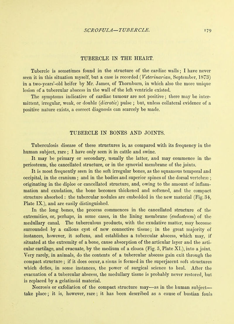 TUBEKCLE IN THE HEART. Tubercle is sometimes found in the structure of the cardiac walls; I have never seen it in this situation myself, but a case is recorded (Veterinaria7i, September, 1873) in a two-years'-old heifer by Mr. James, of Thornburn, in which also the more unique lesion of a tubercular abscess in the wall of the left ventricle existed. The symptoms indicative of cardiac tumour are not positive ; there may be inter- mittent, irregular, weak, or double (dicrotic) pulse ; but, unless collateral evidence of a positive nature exists, a correct diagnosis can scarcely be made. TUBERCLE IN BONES AND JOINTS. Tuberculosis disease of these structures is, as compared with its frequency in the human subject, rare; I have only seen it in cattle and swine. It may be primary or secondary, usually the latter, and may commence in the periosteum, the cancellated structure, or in the synovial membrane of the joints. It is most frequently seen in the soft irregular bones, as the squamous temporal and occipital, in the cranium ; and in the bodies and superior spines of the dorsal vertebrae ; originating in the diploe or cancellated structure, and, owing to the amount of inflam- mation and exudation, the bone becomes thickened and softened, and the compact structure absorbed : the tubercular nodules are embedded in the new material (Fig. 34, Plate IX.), and are easily distinguished. In the long bones, the process commences in the cancellated structure of the extremities, or, perhaps, in some cases, in the lining membrane (endosteum) of the medullary canal. The tuberculous products, with the exudative matter, may become surrounded by a callous cyst of new connective tissue; in the great majority of instances, however, it softens, and establishes a tubercular abscess, which may, if situated at the extremity of a bone, cause absorption of the articular layer and the arti- cular cartilage, and evacuate, by the medium of a cloaca (Fig. 5, Plate XI.), into a joint. Very rarely, in animals, do the contents of a tubercular abscess gain exit through the compact structure ; if it does occur, a sinus is formed in the superjacent soft structures which defies, in some instances, the power of surgical science to heal. After the evacuation of a tubercular abscess, the medullary tissue is probably never restored, but is replaced by a gelatinoid material. Necrosis or exfoliation of the compact structure may—as in the human subject— take place; it is, however, rare; it has been described as a cause of bustian fouls