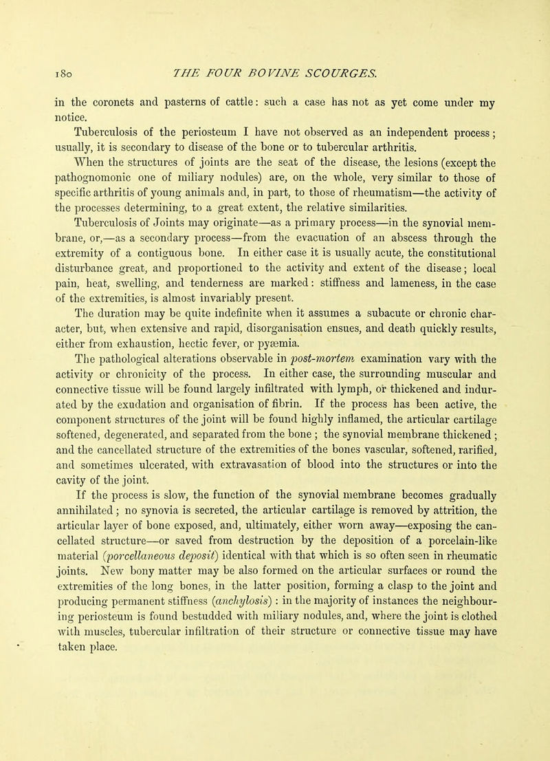 in the coronets and pasterns of cattle: such a case has not as yet come under my notice. Tuberculosis of the periosteum I have not observed as an independent process; usually, it is secondary to disease of the bone or to tubercular arthritis. When the structures of joints are the seat of the disease, the lesions (except the pathognomonic one of miliary nodules) are, on the whole, very similar to those of specific arthritis of young animals and, in part, to those of rheumatism—the activity of the processes determining, to a great extent, the relative similarities. Tuberculosis of Joints may originate—as a primary process—in the synovial mem- brane, or,—as a secondary process—from the evacuation of an abscess through the extremity of a contiguous bone. In either case it is usually acute, the constitutional disturbance great, and proportioned to the activity and extent of the disease; local pain, heat, swelling, and tenderness are marked: stiffness and lameness, in the case of the extremities, is almost invariably present. The duration may be quite indefinite when it assumes a subacute or chronic char- acter, but, when extensive and rapid, disorganisation ensues, and death quickly results, either from exhaustion, hectic fever, or pysemia. Tlie pathological alterations observable in 'post-mortem examination vary with the activity or chronicity of the process. In either case, the surrounding muscular and connective tissue will be found largely infiltrated with lymph, or thickened and indur- ated by the exudation and organisation of fibrin. If the process has been active, the component structures of the joint will be found highly inflamed, the articular cartilage softened, degenerated, and separated from the bone ; the synovial membrane thickened ; and the cancellated structure of the extremities of the bones vascular, softened, rarified, and sometimes ulcerated, with extravasation of blood into the structures or into the cavity of the joint. If the process is slow, the function of the synovial membrane becomes gradually annihilated; no synovia is secreted, the articular cartilage is removed by attrition, the articular layer of bone exposed, and, ultimately, either worn away—exposing the can- cellated structure—or saved from destruction by the deposition of a porcelain-like material (porcellaneous deposit) identical with that which is so often seen in rheumatic joints. New bony matter may be also formed on the articular surfaces or round the extremities of the long bones, in the latter position, forming a clasp to the joint and producing permanent stiffness (anchylosis) : in the majority of instances the neighbour- ing periosteum is found bestudded with miliary nodules, and, where the joint is clothed with muscles, tubercular infiltration of their structure or connective tissue may have taken place.