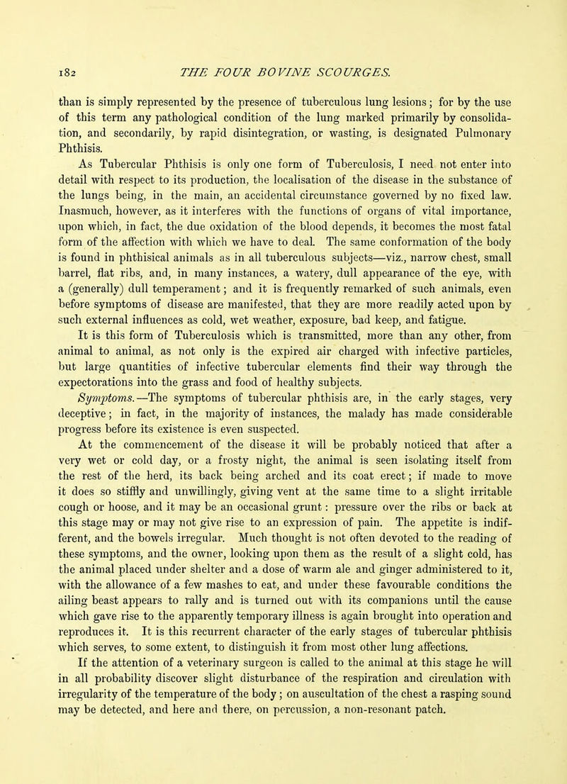 than is simply represented by the presence of tuberculous lung lesions; for by the use of this term any pathological condition of the lung marked primarily by consolida- tion, and secondarily, by rapid disintegration, or wasting, is designated Pulmonary Phthisis. As Tubercular Phthisis is only one form of Tuberculosis, I need not enter into detail with respect to its production, the localisation of the disease in the substance of the lungs being, in the main, an accidental circumstance governed by no fixed law. Inasmuch, however, as it interferes with the functions of organs of vital importance, upon which, in fact, the due oxidation of the blood depends, it becomes the most fatal form of the affection with which we have to deal. The same conformation of the body is found in phthisical animals as in all tuberculous subjects—viz., narrow chest, small barrel, flat ribs, and, in many instances, a watery, dull appearance of the eye, with a (generally) dull temperament; and it is frequently remarked of such animals, even before symptoms of disease are manifested, that they are more readily acted upon by such external influences as cold, wet weather, exposure, bad keep, and fatigue. It is this form of Tuberculosis which is transmitted, more than any other, from animal to animal, as not only is the expired air charged with infective particles, but large quantities of infective tubercular elements find their way through the expectorations into the grass and food of healthy subjects. Symjptoms.—The symptoms of tubercular phthisis are, in the early stages, very deceptive; in fact, in the majority of instances, the malady has made considerable progress before its existence is even suspected. At the commencement of the disease it will be probably noticed that after a very wet or cold day, or a frosty night, the animal is seen isolating itself from the rest of the herd, its back being arched and its coat erect; if made to move it does so stiffly and unwillingly, giving vent at the same time to a slight irritable cough or hoose, and it may be an occasional grunt: pressure over the ribs or back at this stage may or may not give rise to an expression of pain. The appetite is indif- ferent, and the bowels irregular. Much thought is not often devoted to the reading of these symptoms, and the owner, looking upon them as the result of a slight cold, has the animal placed under shelter and a dose of warm ale and ginger administered to it, with the allowance of a few mashes to eat, and under these favourable conditions the ailing beast appears to rally and is turned out with its companions until the cause which gave rise to the apparently temporary illness is again brought into operation and reproduces it. It is this recurrent character of the early stages of tubercular phthisis which serves, to some extent, to distinguish it from most other lung afiections. If the attention of a veterinary surgeon is called to the animal at this stage he will in all probability discover slight disturbance of the respiration and circulation with irregularity of the temperature of the body; on auscultation of the chest a rasping sound may be detected, and here and there, on percussion, a non-resonant patch.