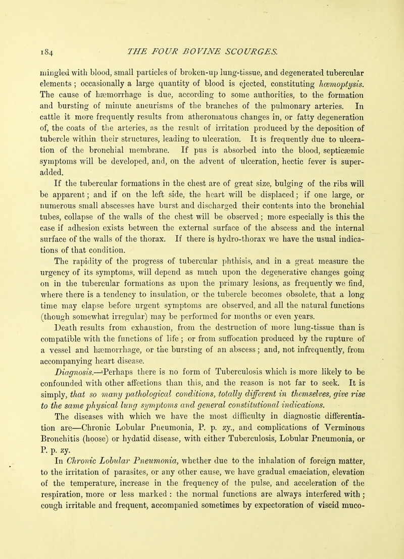 mingled with blood, small particles of broken-up lung-tissue, and degenerated tubercular elements ; occasionally a large quantity of blood is ejected, constituting hcemoptysis. The cause of hjemorrhage is due, according to some authorities, to the formation and bursting of minute aneurisms of the branches of the pulmonary arteries. In cattle it more frequently results from atheromatous changes in, or fatty degeneration of, the coats of the arteries, as the result of irritation produced by the deposition of tubercle within their structures, leading to ulceration. It is frequently due to ulcera- tion of the bronchial membrane. If pus is absorbed into the blood, septicsemic symptoms will be developed, and, on the advent of ulceration, hectic fever is super- added. If the tubercular formations in the chest are of great size, bulging of the ribs will be apparent; and if on the left side, the heart will be displaced; if one large, or numerous small abscesses have burst and discharged their contents into the bronchial tubes, collapse of the walls of the chest will be observed; more especially is this the case if adhesion exists between the external surface of the abscess and the internal surface of the walls of the thorax. If there is hydro-thorax we have the usual indica- tions of that condition. The rapidity of the progress of tubercular phthisis, and in a great measure the urgency of its symptoms, will depend as much upon the degenerative changes going on in the tubercular formations as upon the primary lesions, as frequently we find, where there is a tendency to insulation, or the tubercle becomes obsolete, that a long time may elapse before urgent symptoms are observed, and all the natural functions (though somewhat irregular) may be performed for months or even years. Death results from exhaustion, from the destruction of more lung-tissue than is compatible with the functions of life ; or from suftbcation produced by the rupture of a vessel and ha3morrhage, or the bursting of an abscess; and, not infrequently, from accompanying heart disease. Diagnosis.—^Perhaps there is no form of Tuberculosis which is more likely to be confounded Avith other affections than this, and the reason is not far to seek. It is simply, i/iai so many pathological conditions, totally differe^it in themselves, give rise to the same physical lung symptoms and general constitutional indications. The diseases with which we have the most difficxilty in diagnostic differentia- tion are—Chronic Lobular Pneumonia, P. p. zy., and complications of Verminous Bronchitis (hoose) or hydatid disease, with either Tuberculosis, Lobular Pneumonia, or P. p. zy. In Chronic Lohxdar Pneumonia, whether due to the inhalation of foreign matter, to the irritation of parasites, or any other cause, we have gradual emaciation, elevation of the temperature, increase in the frequency of the pulse, and acceleration of the respiration, more or less marked : the normal functions are always interfered with ; cough irritable and frequent, accompanied sometimes by expectoration of viscid muco-