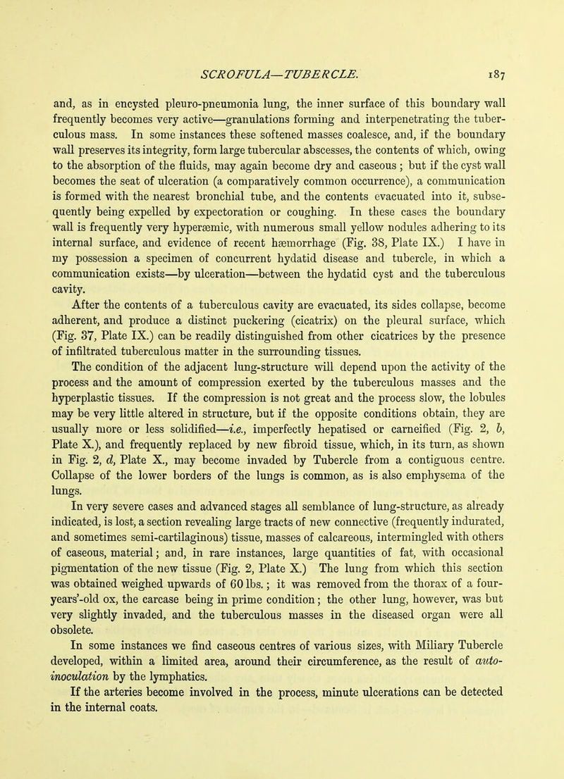 and, as in encysted pleuro-pneumonia lung, the inner surface of this boundary wall frequently becomes very active—granulations forming and interpenetrating the tuber- culous mass. In some instances these softened masses coalesce, and, if the boundary wall preserves its integrity, form large tubercular abscesses, the contents of which, owing to the absorption of the fluids, may again become dry and caseous ; but if the cyst wall becomes the seat of ulceration (a comparatively common occurrence), a communication is formed with the nearest bronchial tube, and the contents evacuated into it, subse- quently being expelled by expectoration or coughing. In these cases the boundary waU is frequently very hypergemic, with numerous small yellow nodules adhering to its interna] surface, and evidence of recent haemorrhage (Fig. 38, Plate IX.) I have in my possession a specimen of concurrent hydatid disease and tubercle, in which a communication exists—by ulceration—between the hydatid cyst and the tuberculous cavity. After the contents of a tuberculous cavity are evacuated, its sides collapse, become adherent, and produce a distinct puckering (cicatrix) on the pleural surface, which (Fig. 37, Plate IX.) can be readily distinguished from other cicatrices by the presence of infiltrated tuberculous matter in the surrounding tissues. The condition of the adjacent lung-structure will depend upon the activity of the process and the amount of compression exerted by the tuberculous masses and the hyperplastic tissues. If the compression is not great and the process slow, the lobules may be very little altered in structure, but if the opposite conditions obtain, they are usually more or less solidified—i.e., imperfectly hepatised or carneified (Fig. 2, h, Plate X.), and frequently replaced by new fibroid tissue, which, in its turn, as shown in Fig. 2, d, Plate X., may become invaded by Tubercle from a contiguous centre. Collapse of the lower borders of the lungs is common, as is also emphysema of the lungs. In very severe cases and advanced stages aU semblance of lung-structure, as already indicated, is lost, a section revealing large tracts of new connective (frequently indurated, and sometimes semi-cartilaginous) tissue, masses of calcareous, intermingled with others of caseous, material; and, in rare instances, large quantities of fat, with occasional pigmentation of the new tissue (Fig. 2, Plate X.) The lung from which this section was obtained weighed upwards of 60 lbs.; it was removed from the thorax of a four- years'-old ox, the carcase being in prime condition; the other lung, however, was but very slightly invaded, and the tuberculous masses in the diseased organ were all obsolete. In some instances we find caseous centres of various sizes, with Miliary Tubercle developed, within a limited area, around their circumference, as the result of avio- inoculation by the lymphatics. If the arteries become involved in the process, minute ulcerations can be detected in the internal coats.