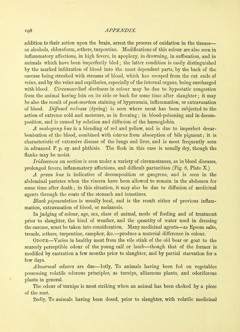 addition to their action upon the brain, arrest the process of oxidation in the tissues— as alcohols, chloroform, aethers, turpentine. Modifications of this colour are also seen in inflammatory affections, in high fevers, in apoplexy, in drowning, in suflocation, and in animals which have been imperfectly bled; the latter condition is easily distinguished by the marked infiltration of blood into the most dependent parts, by the back of the carcase being streaked with streams of blood, which has escaped from the cut ends of veins, and by the veins and capillaries, especially of the internal organs, being surcharged with blood. Circumscribed darkness in colour may be due to hypostatic congestion from the animal having lain on its side or back for some time after slaughter; it may be also the result ol post-mortem staining of hypersemia, inflammation, or extravasation of blood. Diffused redness (dyeing) is seen where meat has been subjected to the action of extreme cold and moisture, as in freezing; in blood-poisoning and in decom- position, and is caused by solution and diffusion of the hsemoglobin. A mahogany hue is a blending of red and yellow, and is due to imperfect decar- bonisation of the blood, combined with icteriLS from absorption of bile pigment; it is characteristic of extensive disease of the lungs and liver, and is most frequently seen in advanced P. p. zy. and phthisis. The flesh in this case is usually dry, though the flanks may be moist. Iridescence on section is seen under a variety of circumstances, as in blood diseases, prolonged fevers, inflammatory aff'ections, and difficult parturition (Fig. 8, Plate X.) A green hue is indicative of decomposition or gangrene, and is seen in the abdominal parietes when the viscera have been allowed to remain in the abdomen for some time after death; in this situation, it may also be due to difl'usion of medicinal agents through the coats of the stomach and intestines. Black pigmentation is usually local, and is the result either of previous inflam- mation, extravasation of blood, or melanosis. In judging of colour, age, sex, class of animal, mode of feeding and of treatment prior to slaughter, the kind of weather, and the quantity of water used in dressing the carcase, must be taken into consideration. Many medicinal agents—as Epsom salts, treacle, aethers, turpentine, camphor, &c.—produce a material difference in colour. Odour—Varies in healthy meat from the vile stink of the old boar or goat to the scarcely perceptible odour of the young calf or lamb—though that of the former is modified by castration a few months prior to slaughter, and by partial starvation for a few days. Abnormal odours are due—Istly, To animals having been fed on vegetables possessing volatile odorous principles, as turnips, alliaceous plants, and odoriferous plants in general. The odour of turnips is most striking when an animal has been choked by a piece of the root. 2ndly, To animals having been dosed, prior to slaughter, with volatile medicinal