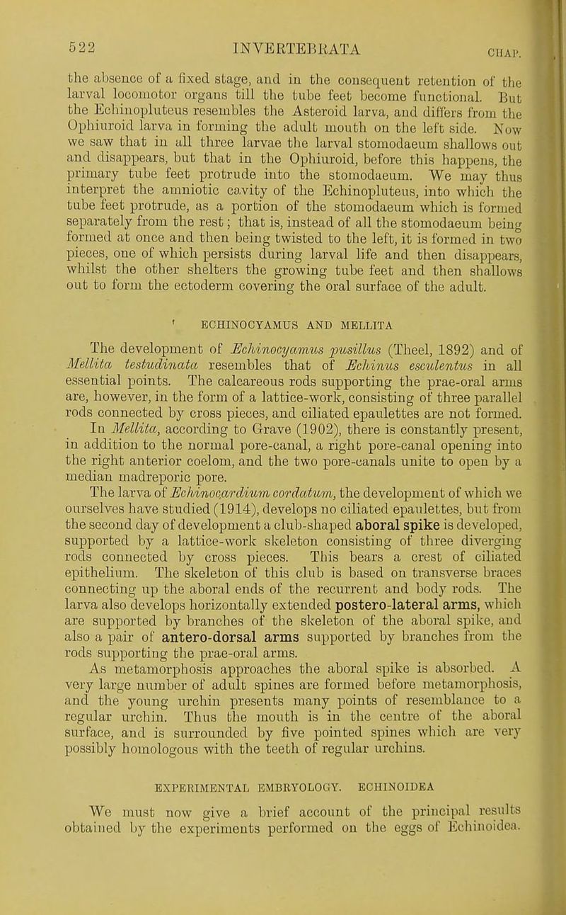 CHAl' the absence of a fixed sLage, and in the consequent retention of the larval locomotor organs till the tube feet become functional. But the Echiiiopluteus resembles the Asteroid larva, and differs from the Ophiuroid larva in forming the adult mouth on the left side. Now we saw that in all three larvae the larval stomodaeum shallows out and disappears, but that in the Ophiuroid, before this happens, the primary tube feet protrude into the stomodaeum. We may thus interpret the amniotic cavity of the Echinopluteus, into which the tube feet protrude, as a portion of the stomodaeum which is formed separately from the rest; that is, instead of all the stomodaeum being formed at once and then being twisted to the left, it is formed in two pieces, one of which persists during larval life and then disappears, whilst the other shelters the growing tube feet and then shallows out to form the ectoderm covering the oral surface of the adult. ' EOHINOCYAMUS AND MELLITA The development of Echinocyamus pusillus (Theel, 1892) and of Mellita testudinata resembles that of Echinus esculentus in all essential points. The calcareous rods supporting the prae-oral arms are, however, in the form of a lattice-work, consisting of three parallel rods connected by cross pieces, and ciliated epaulettes are not formed. In Mellita, according to Grave (1902), there is constantly present, in addition to the normal pore-canal, a right pore-canal opening into the right anterior coelom, and the two pore-canals unite to open by a median madreporic pore. The larva of Echinocardium cordatum, the development of which we ourselves have studied (1914), develops no ciliated epaulettes, but from the second day of development a club-shaped aboral spike is developed, supported by a lattice-work skeleton consisting of three diverging rods connected by cross pieces. This bears a crest of ciliated epithelium. The skeleton of this club is based on transverse braces connecting up the aboral ends of the recurrent and body rods. The larva also develops horizontally extended postero-lateral arms, which are supported by branches of the skeleton of the aboral spike, aud also a pair of antero-dorsal arms supported by branches from the rods supporting the prae-oral arms. As metamorphosis approaches the aboral spike is absorbed. A very large number of adult spines are formed before metamorphosis, and the young urchin presents many points of resemblance to a regular urchin. Thus the mouth is in the centre of the aboral surface, and is surrounded by five pointed spines which are very possibly homologous with the teeth of regular urchins. EXPERIMENTAL EMBRYOLOGY. EGHINOIDEA We must now give a brief account of the principal results obtained by the experiments performed on the eggs of Echinoidea.